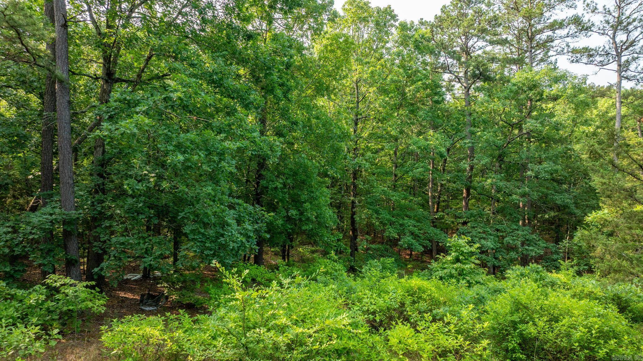 TBD Gum Drop  Houston, AR