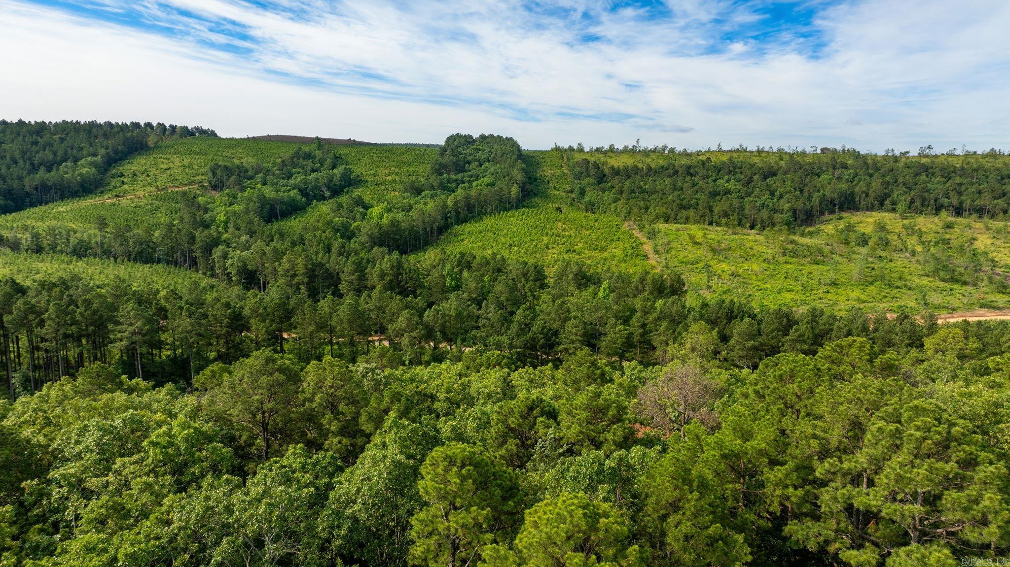 TBD Gum Drop  Houston, AR