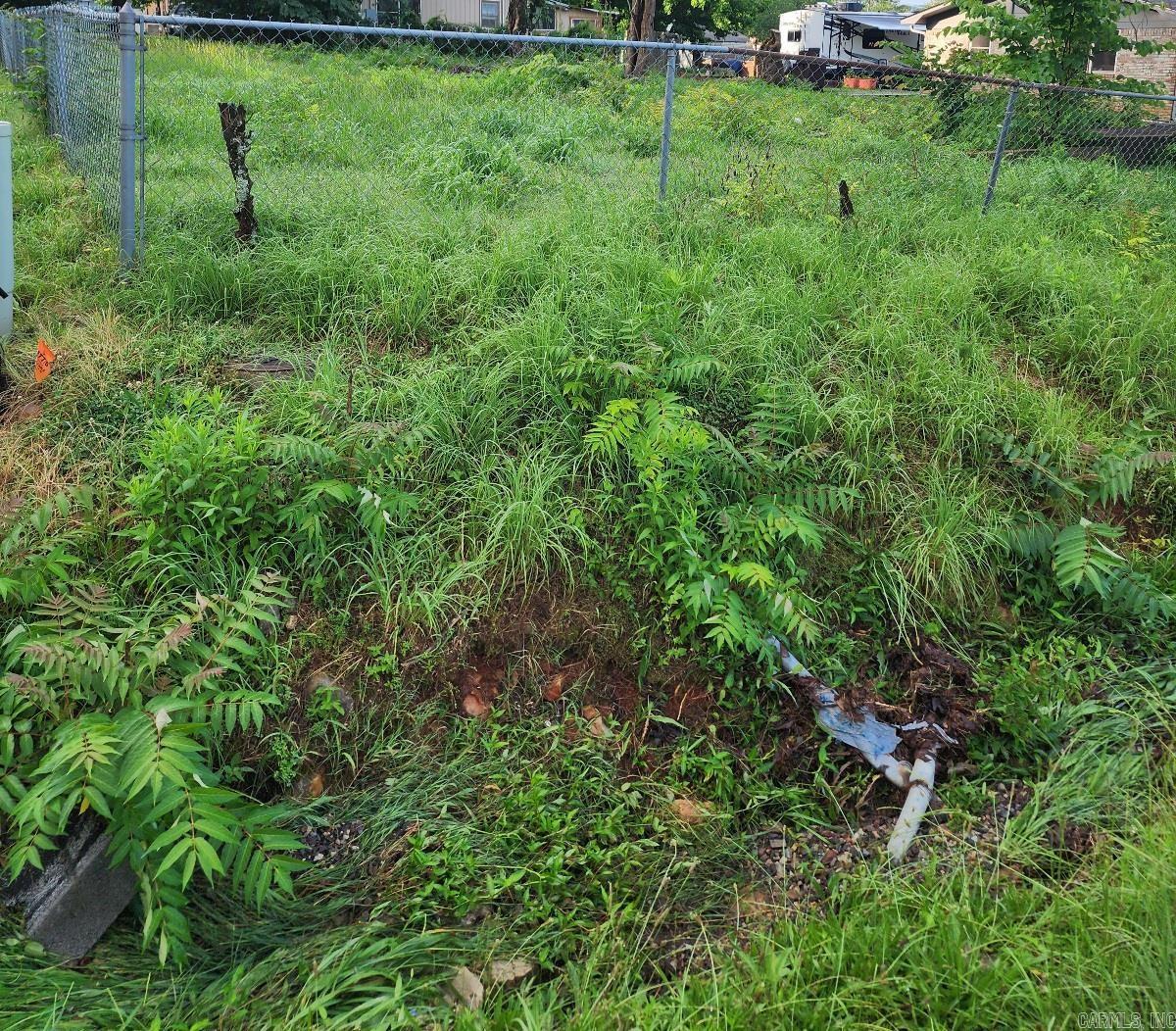 1101 S Tenth Street  Mena, AR