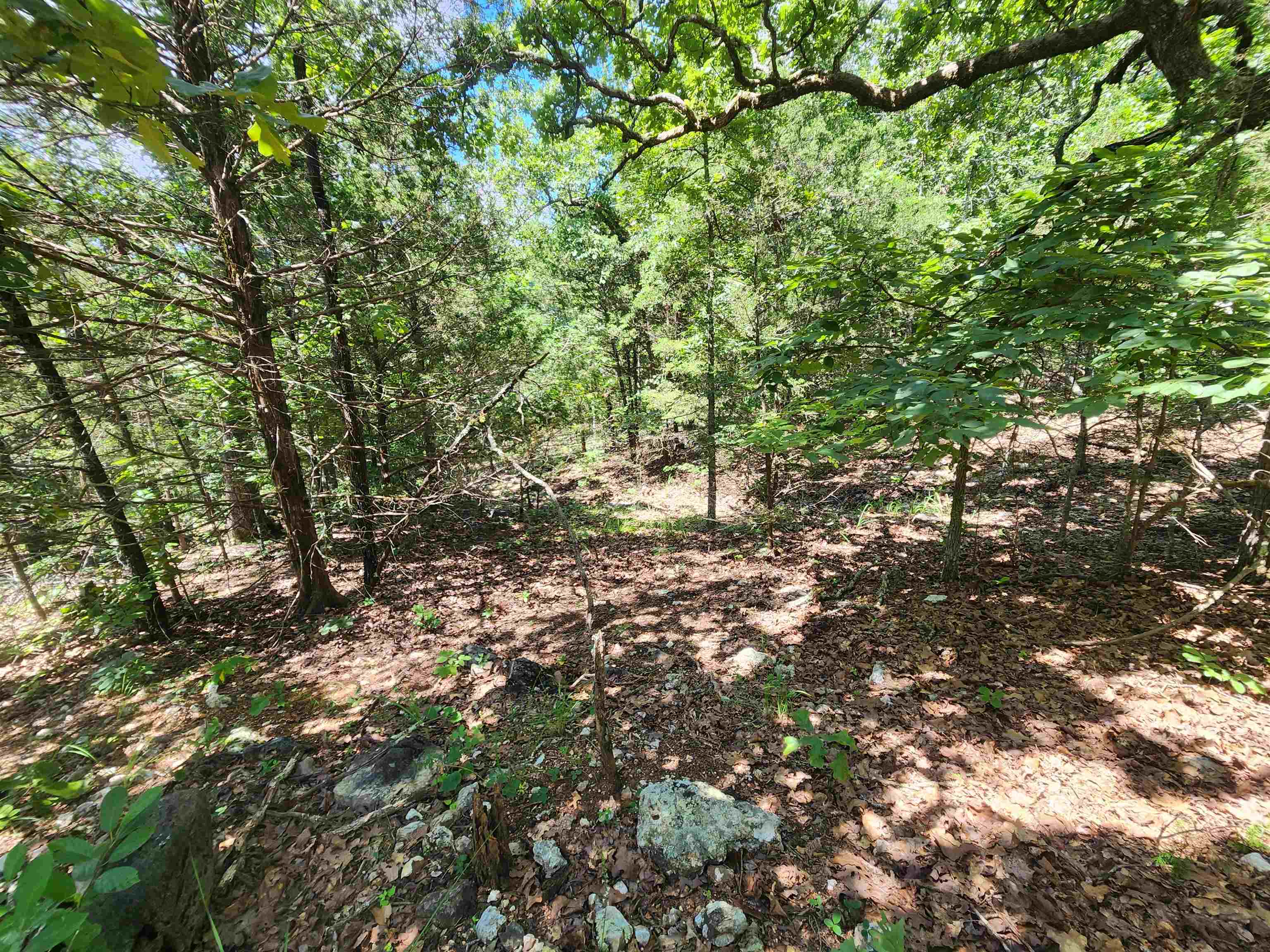 L35B2 Black Cloud  Cherokee Village, AR