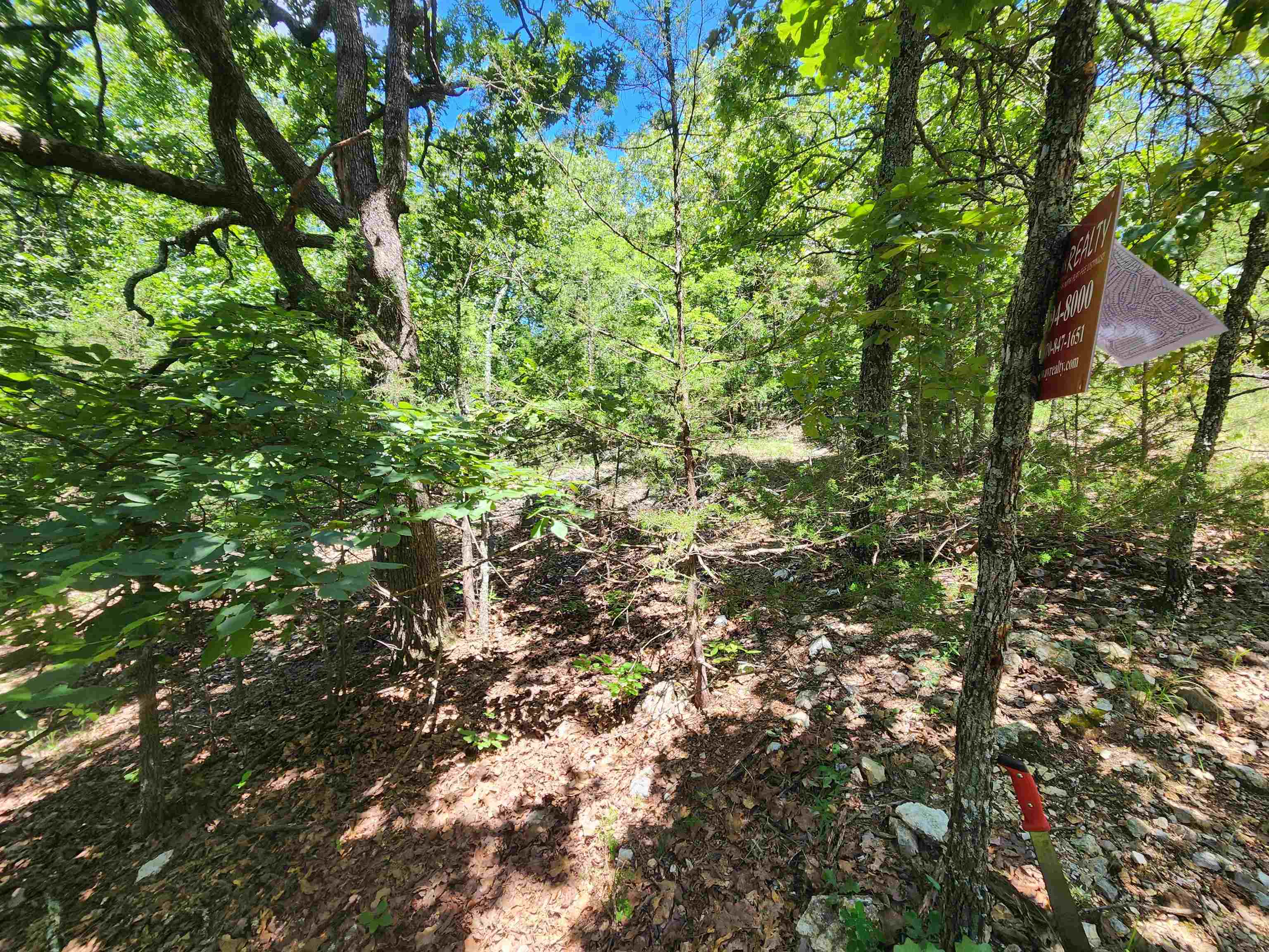L35B2 Black Cloud  Cherokee Village, AR