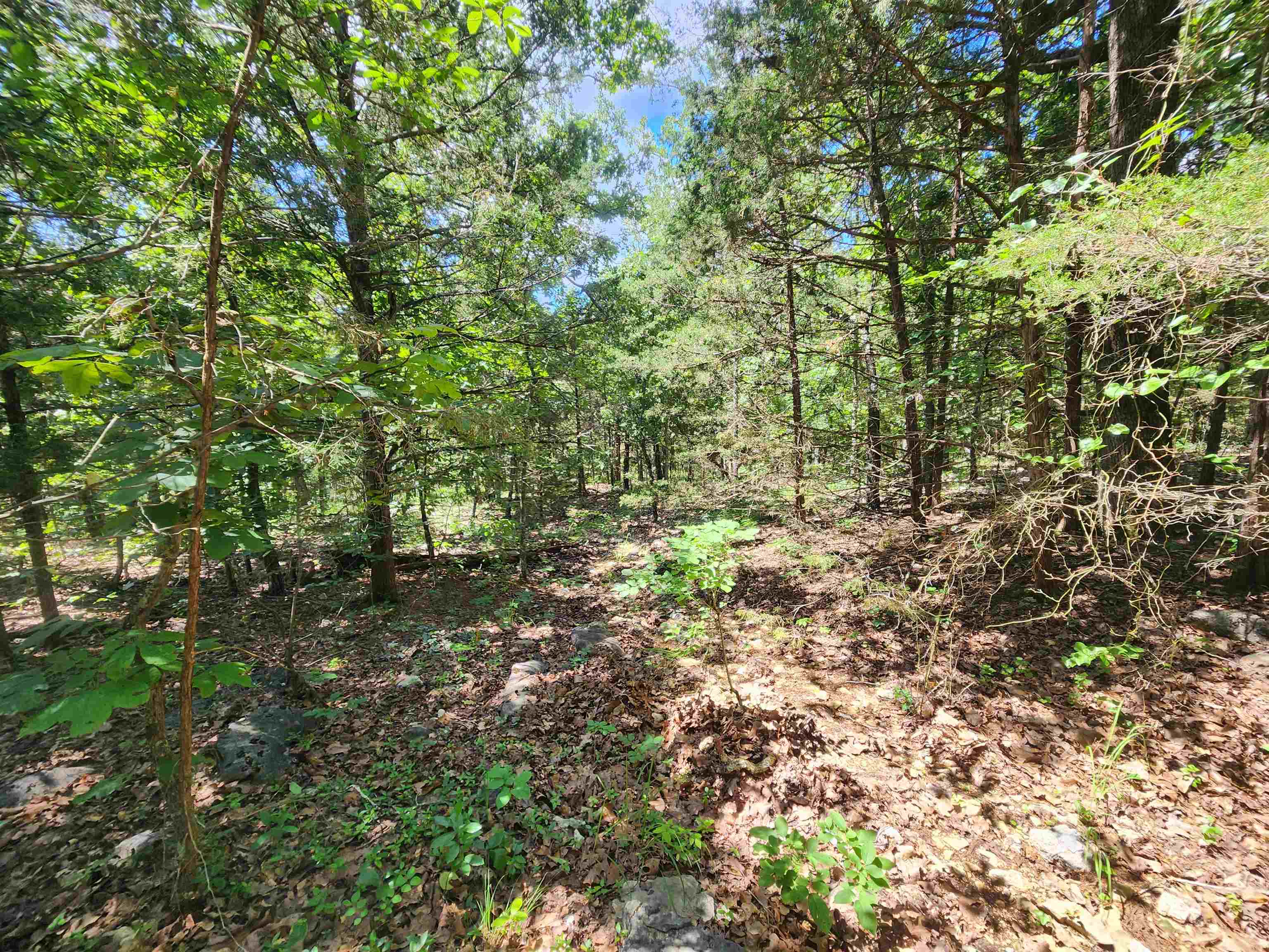 L35B2 Black Cloud  Cherokee Village, AR