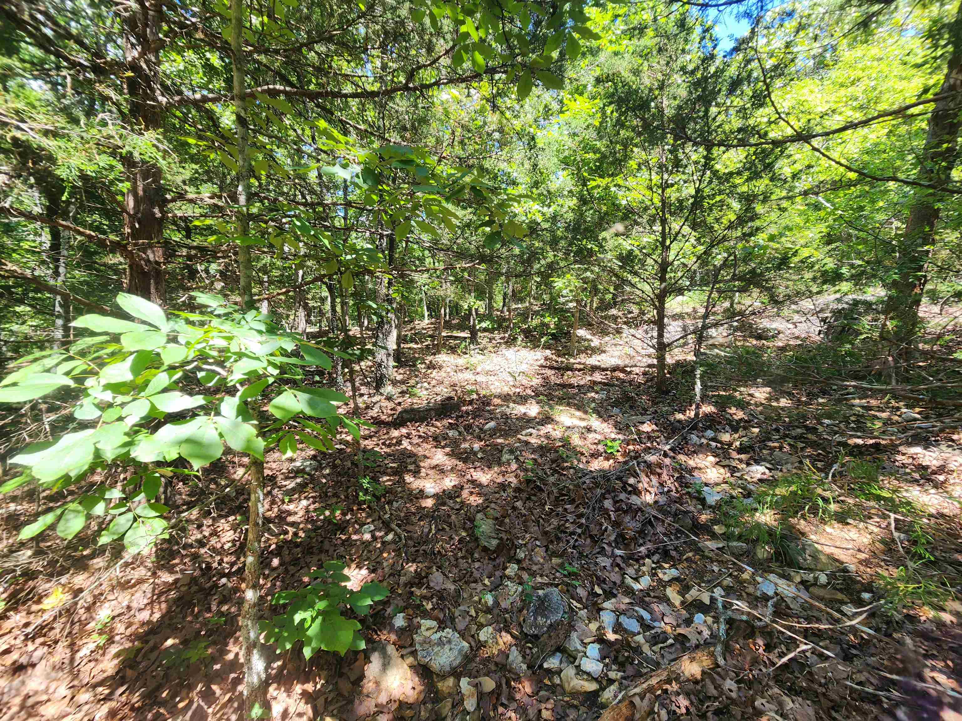 L35B2 Black Cloud  Cherokee Village, AR