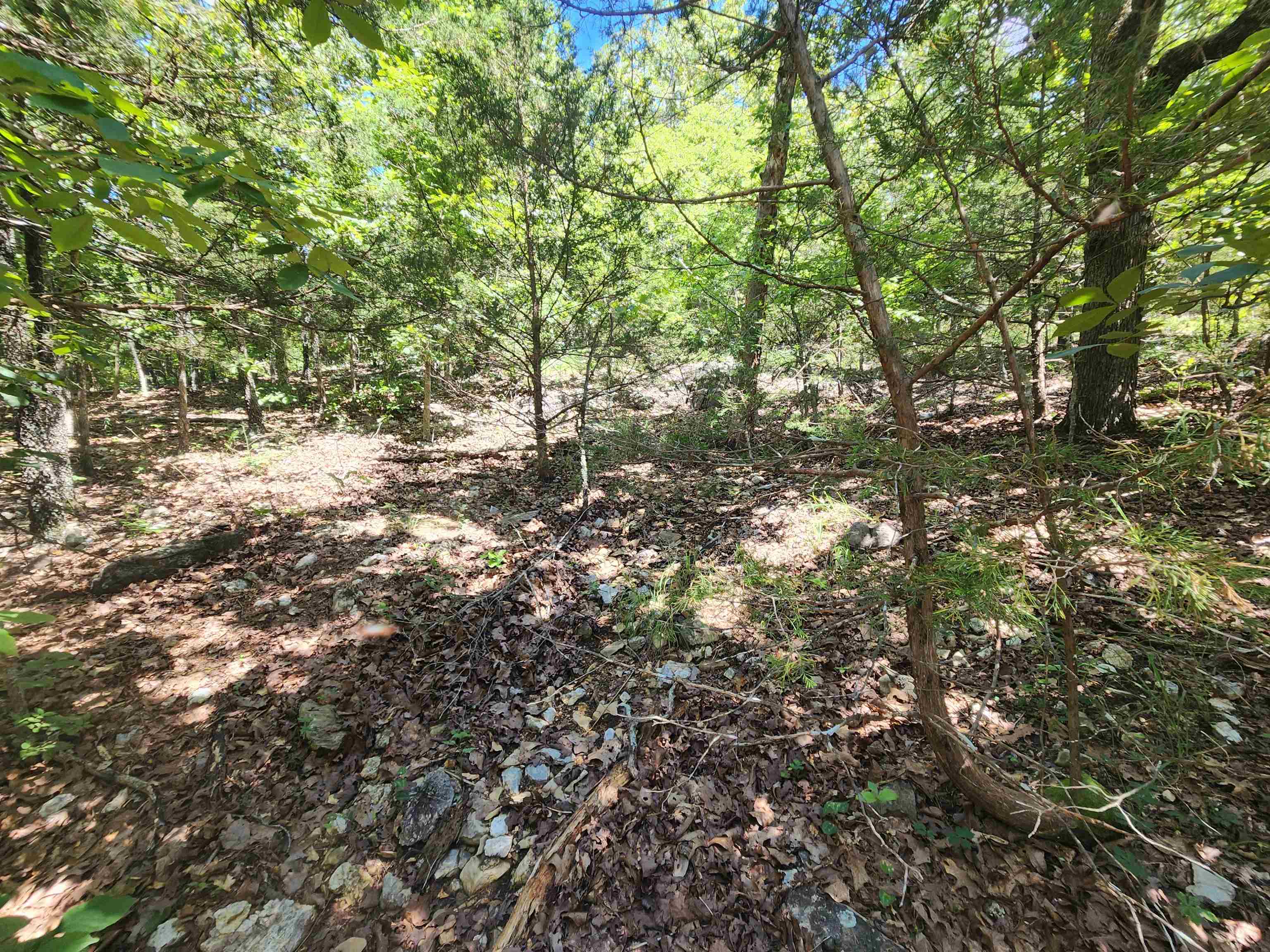 L35B2 Black Cloud  Cherokee Village, AR