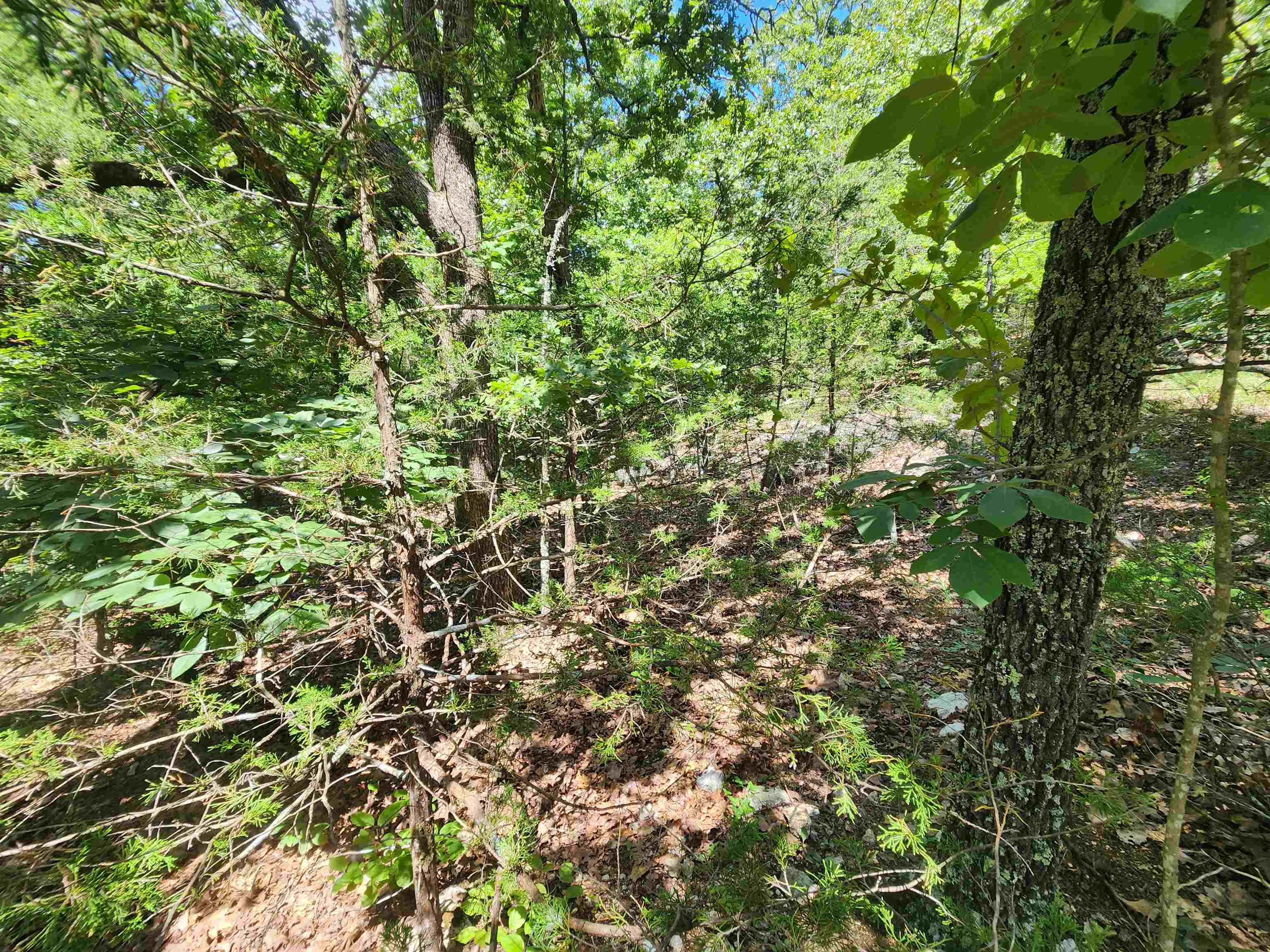 L35B2 Black Cloud  Cherokee Village, AR