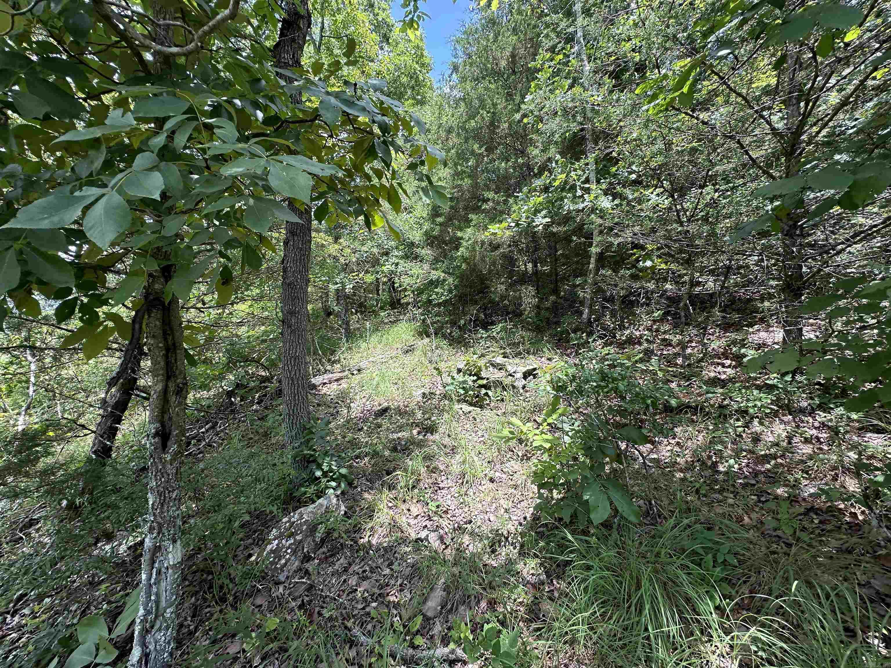  Hwy 9  Mountain View, AR