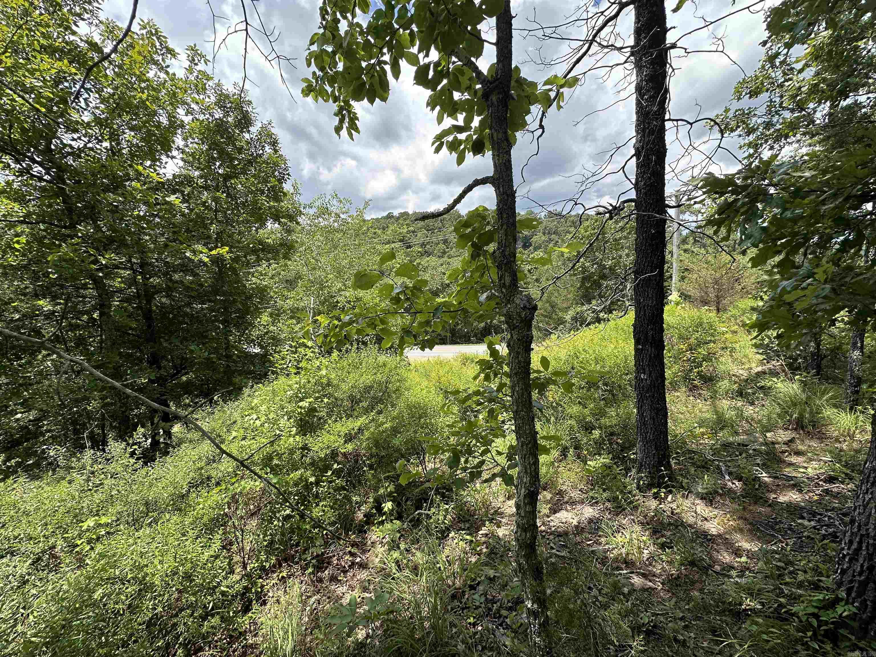  Hwy 9  Mountain View, AR