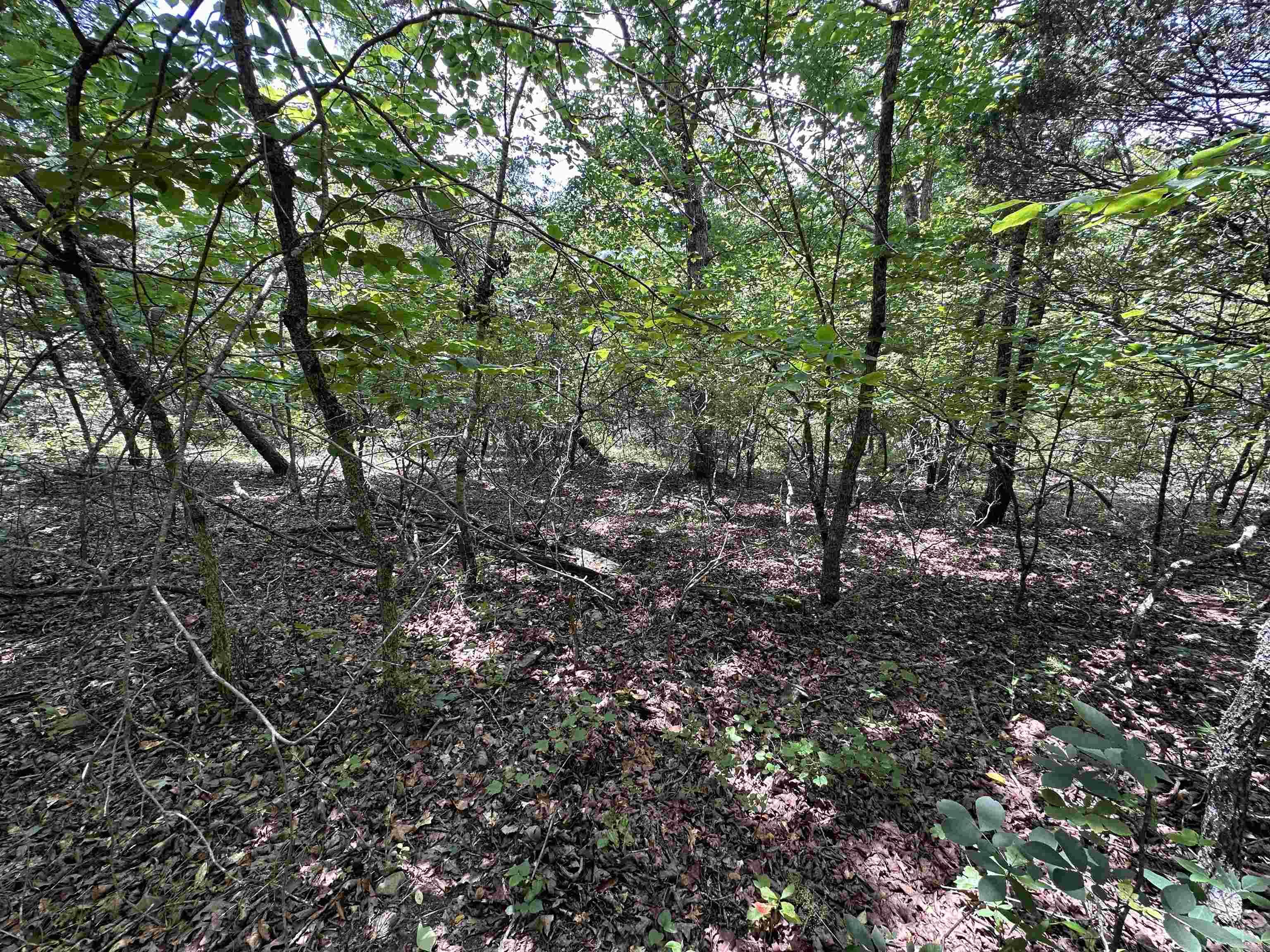  Hwy 9  Mountain View, AR