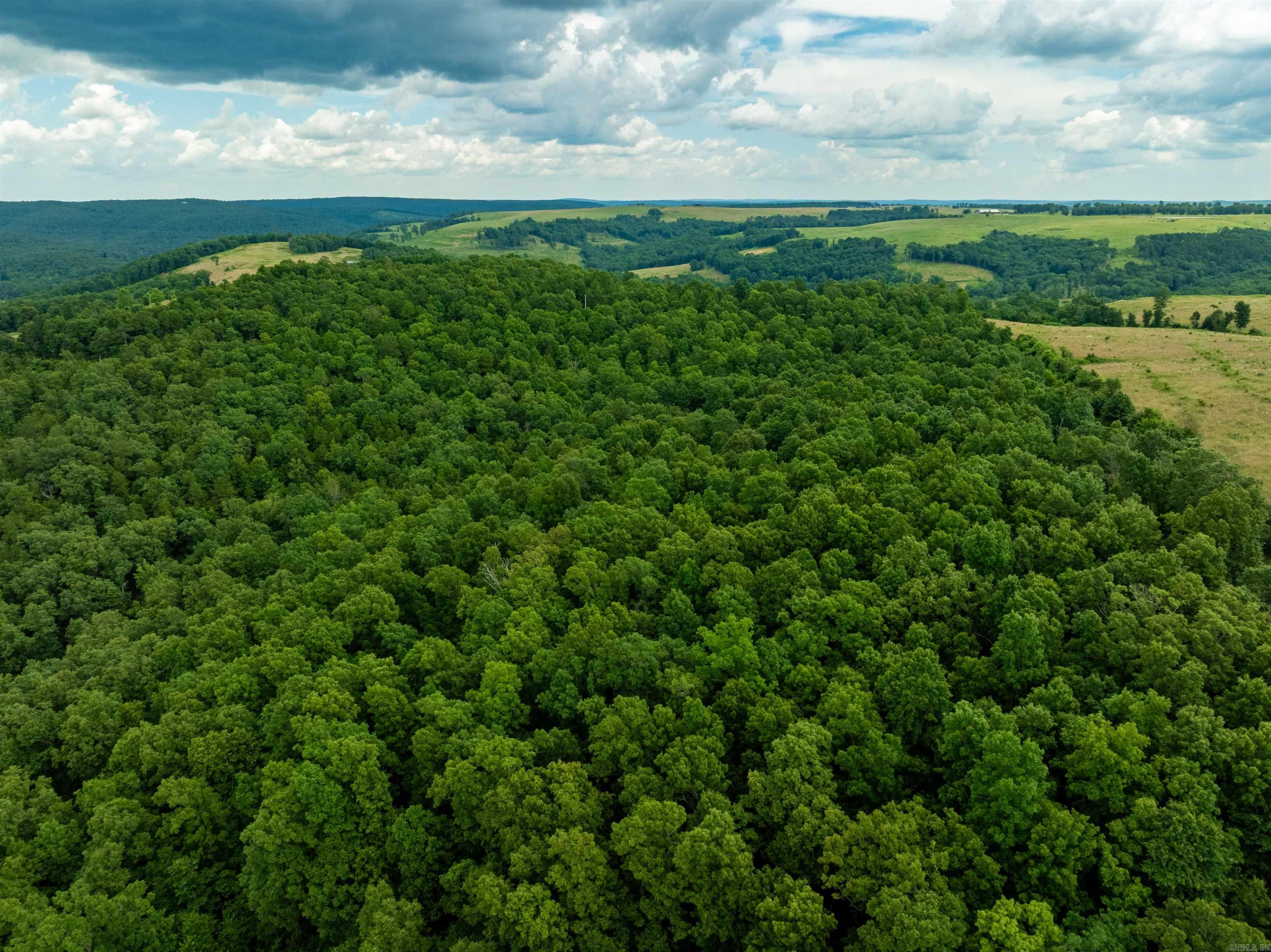  Hwy 9  Mountain View, AR