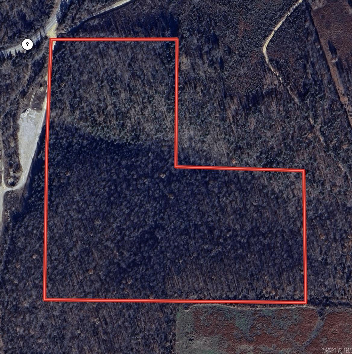  Hwy 9  Mountain View, AR