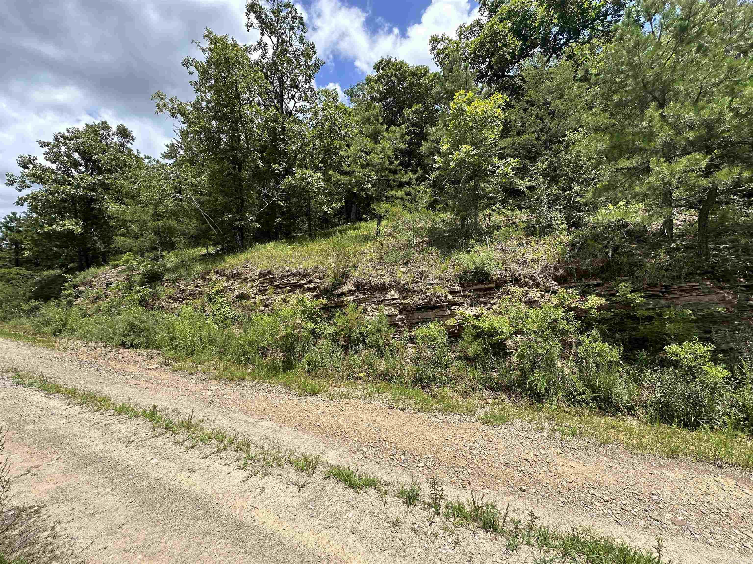  Hwy 9  Mountain View, AR