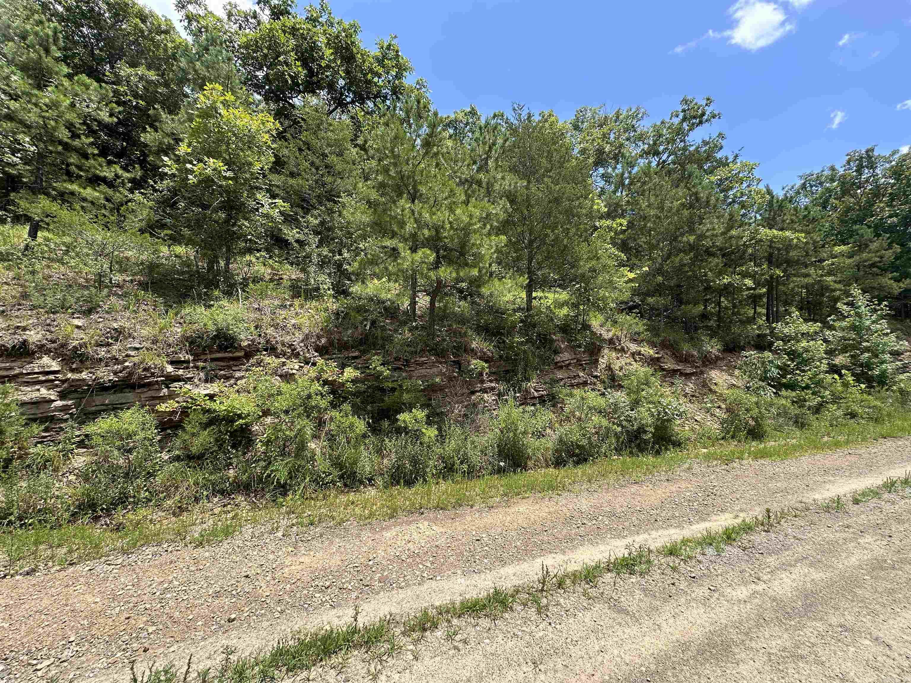  Hwy 9  Mountain View, AR