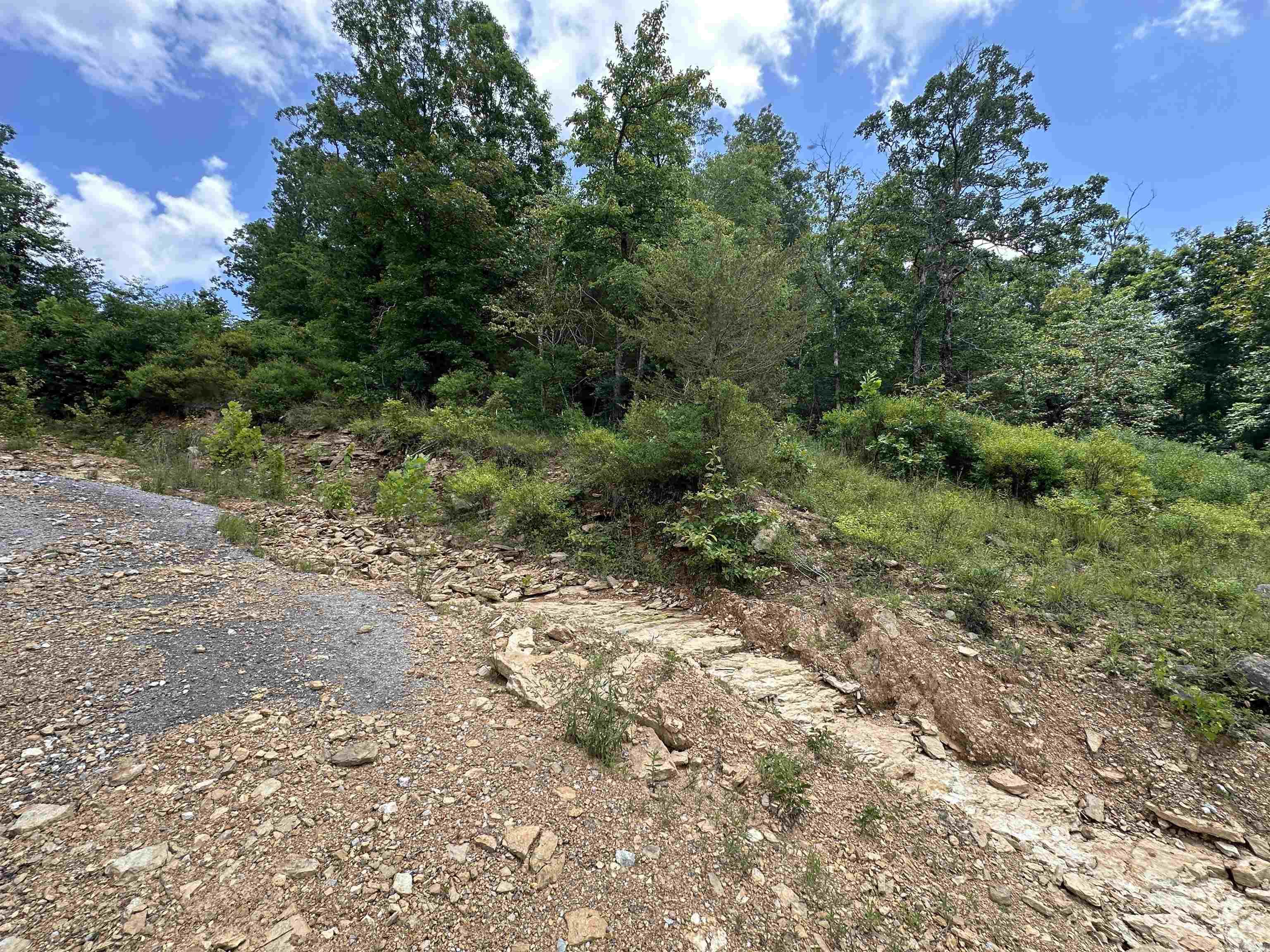  Hwy 9  Mountain View, AR