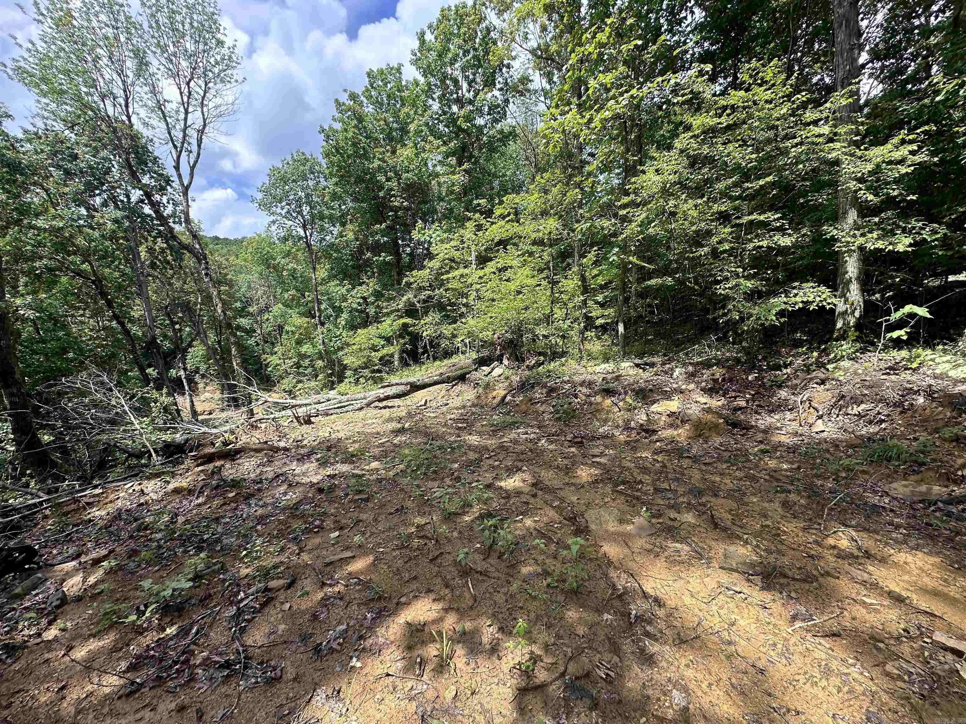 0 Old 66 Rd  Leslie, AR