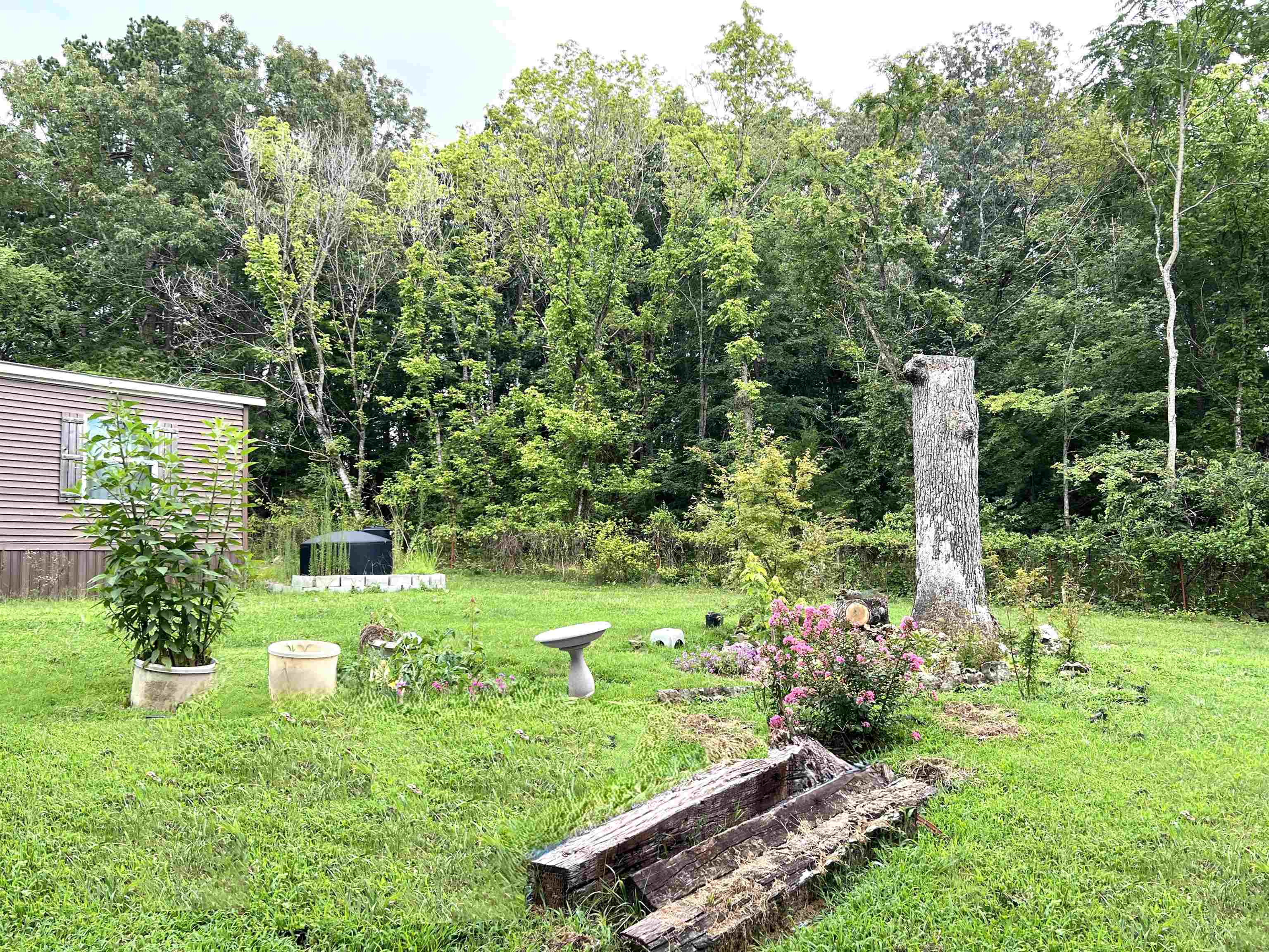 21119 N Hwy 5  Mountain View, AR