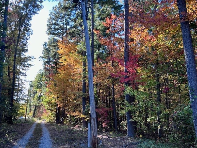 21119 N Hwy 5  Mountain View, AR