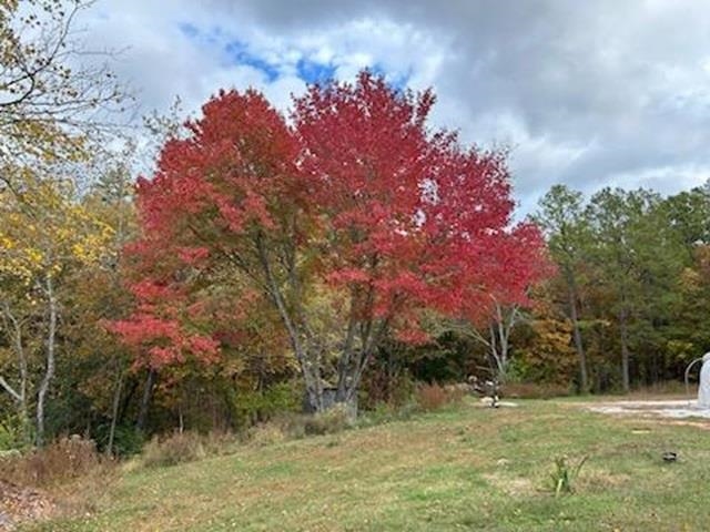 21119 N Hwy 5  Mountain View, AR