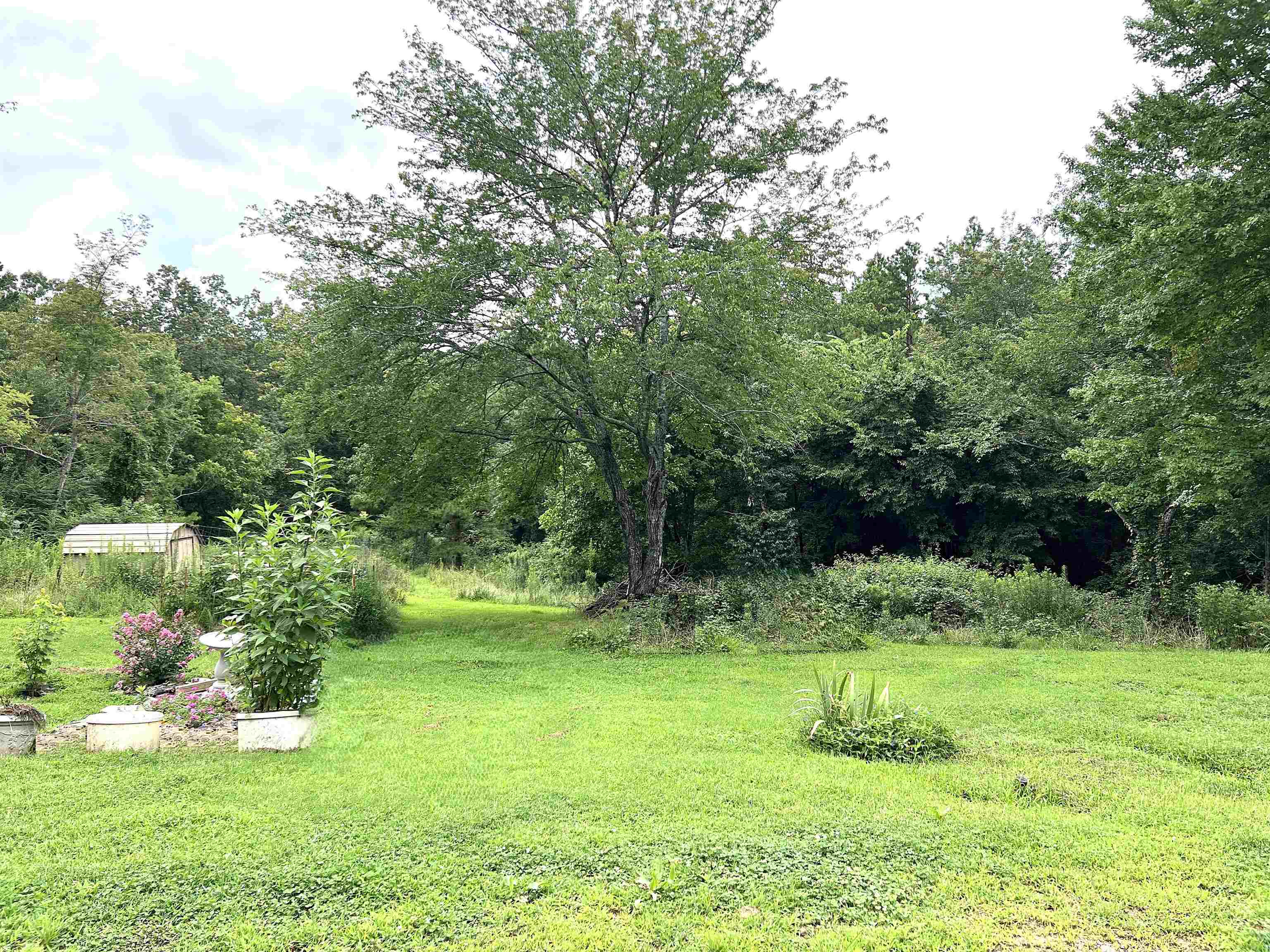 21119 N Hwy 5  Mountain View, AR