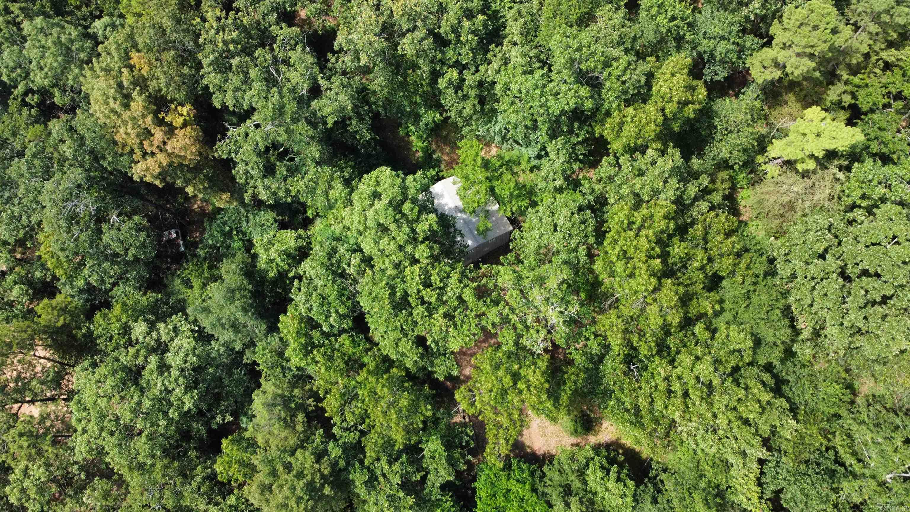 299 County Road 3587 Road Clarksville, AR 72830