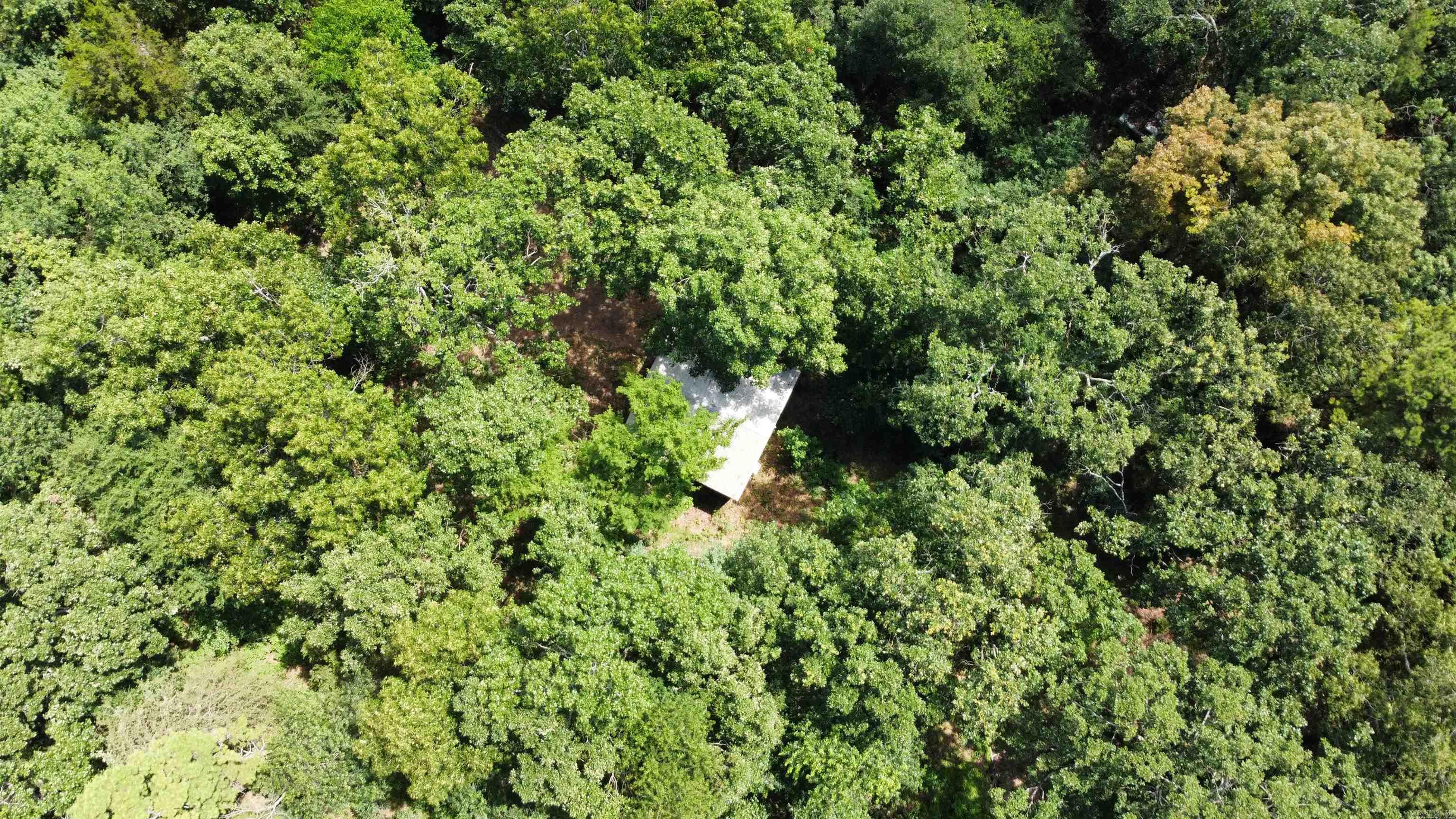 299 County Road 3587 Road Clarksville, AR 72830