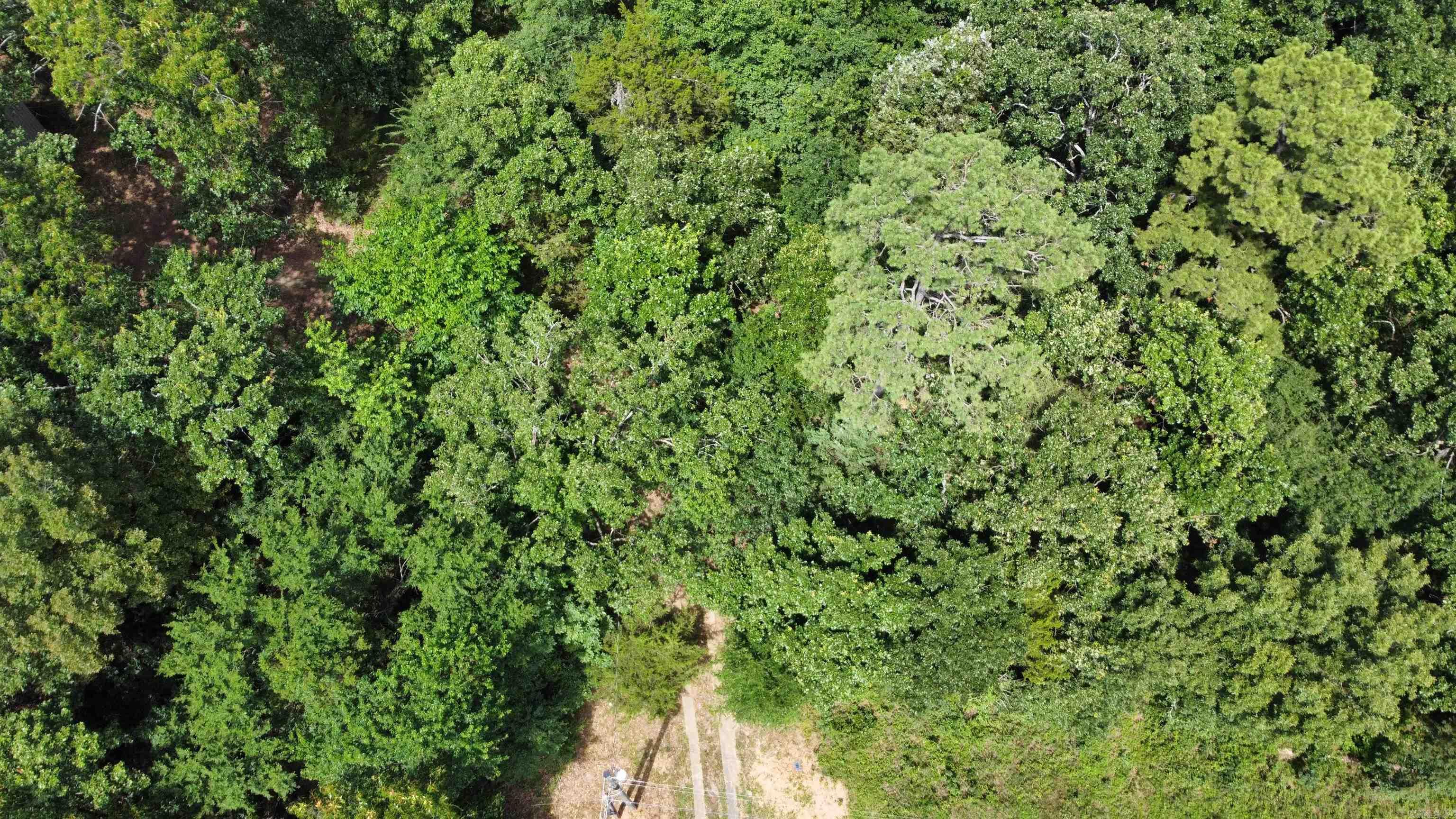 299 County Road 3587 Road Clarksville, AR 72830