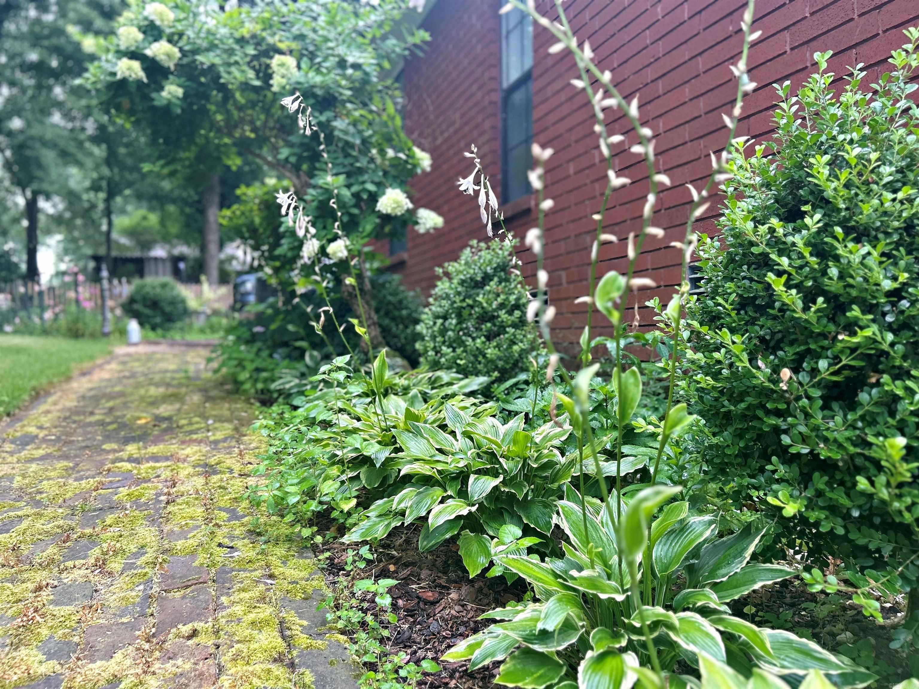 108 Magnolia Drive Arkadelphia, AR 71923-0000