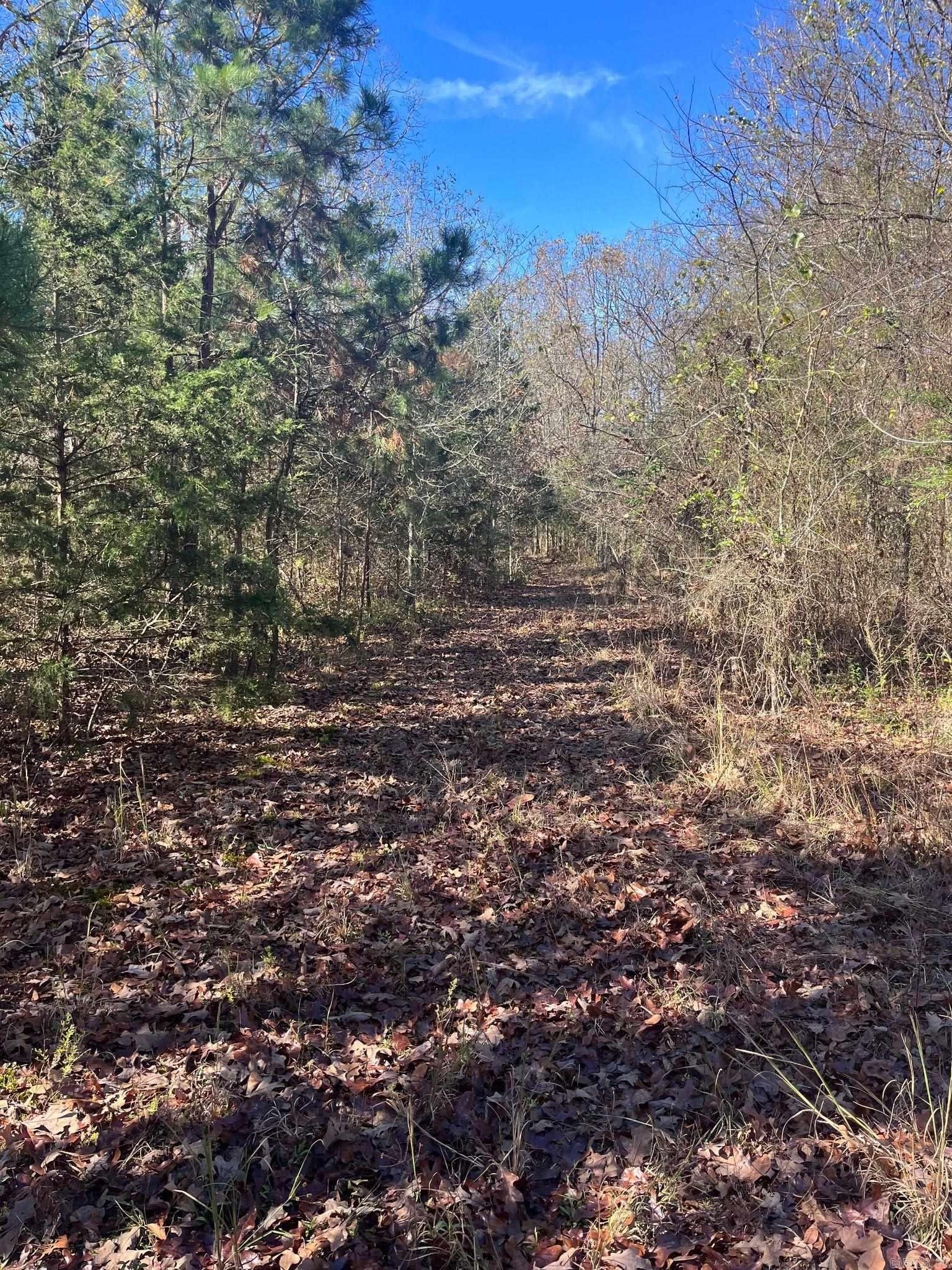 TBD Geyer Dr  Mena, AR