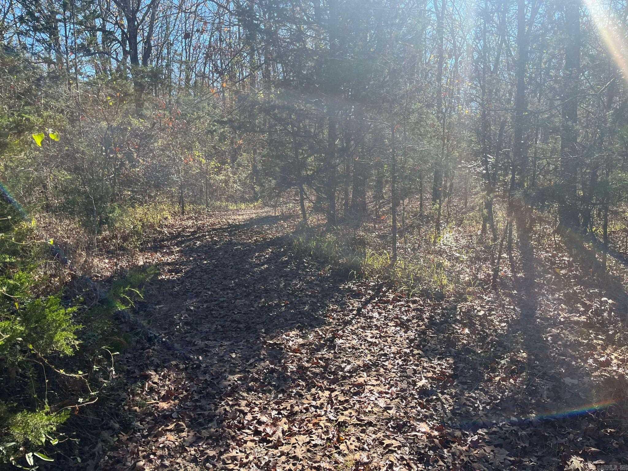 TBD Geyer Dr  Mena, AR