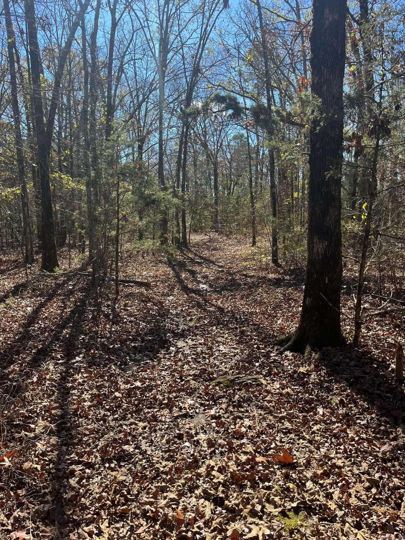 TBD Geyer Dr  Mena, AR