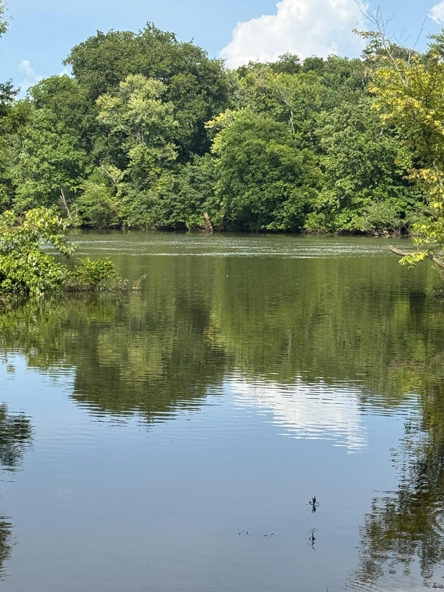 142 john cyrus  Searcy, AR