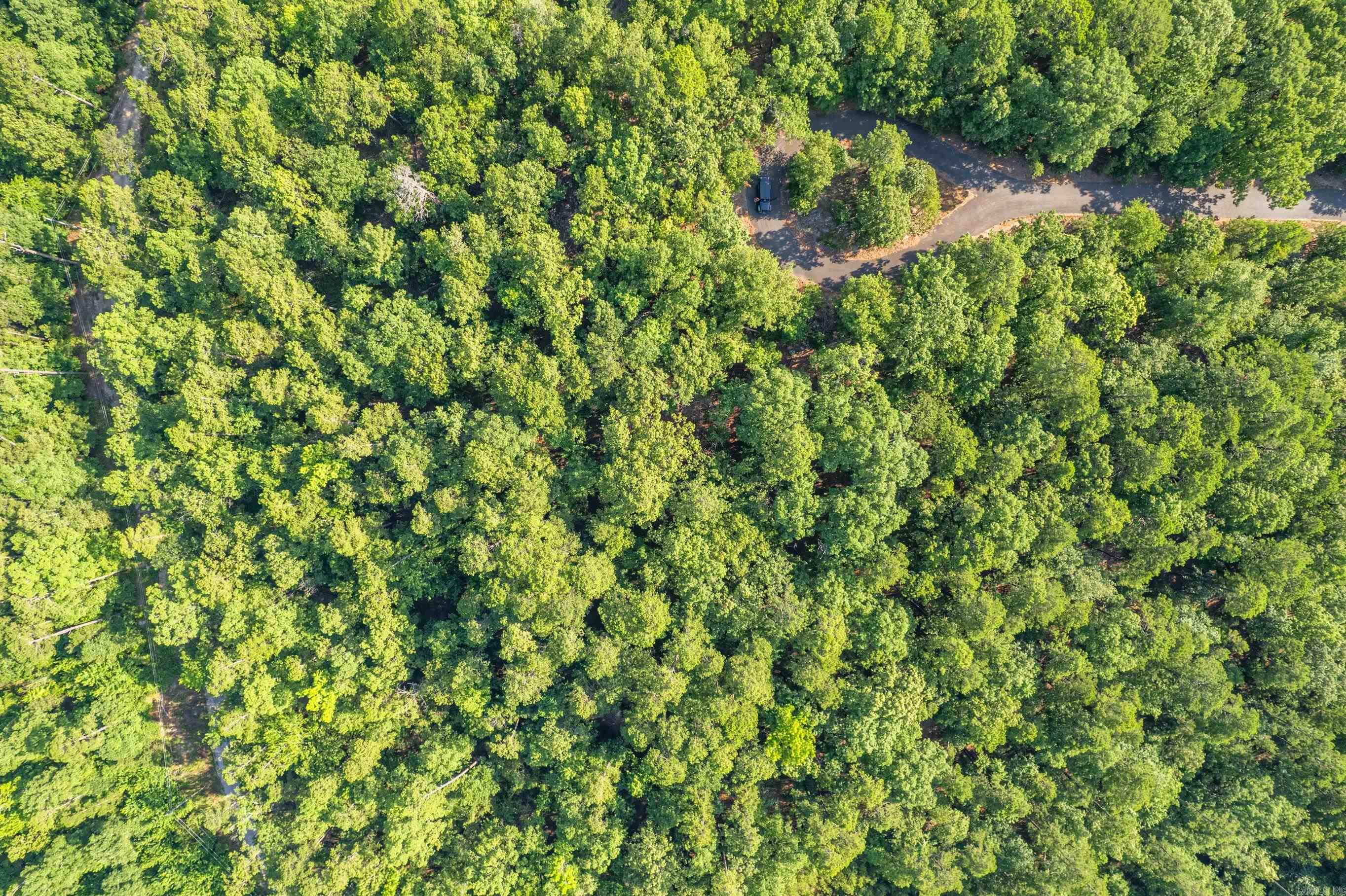 11 Pertusa  Hot Springs Village, AR