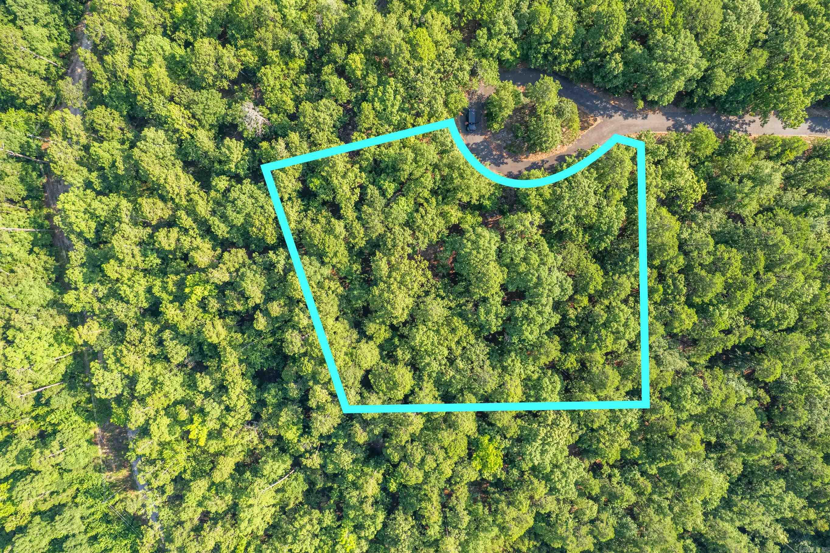 11 Pertusa  Hot Springs Village, AR