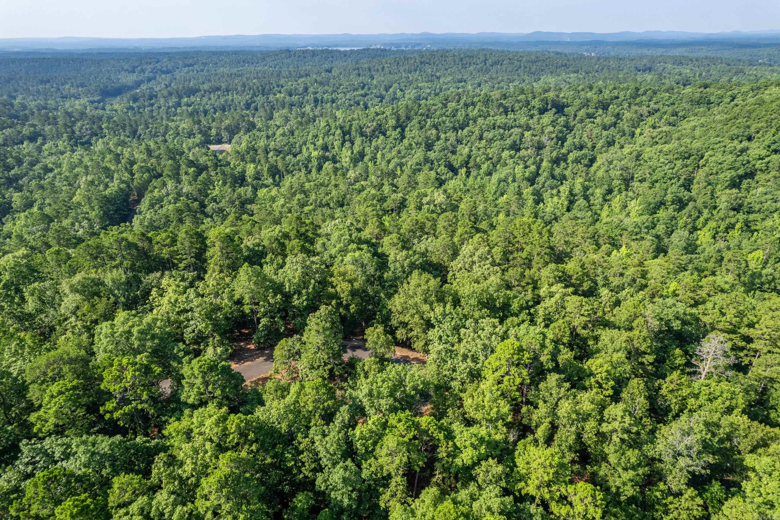 11 Pertusa  Hot Springs Village, AR