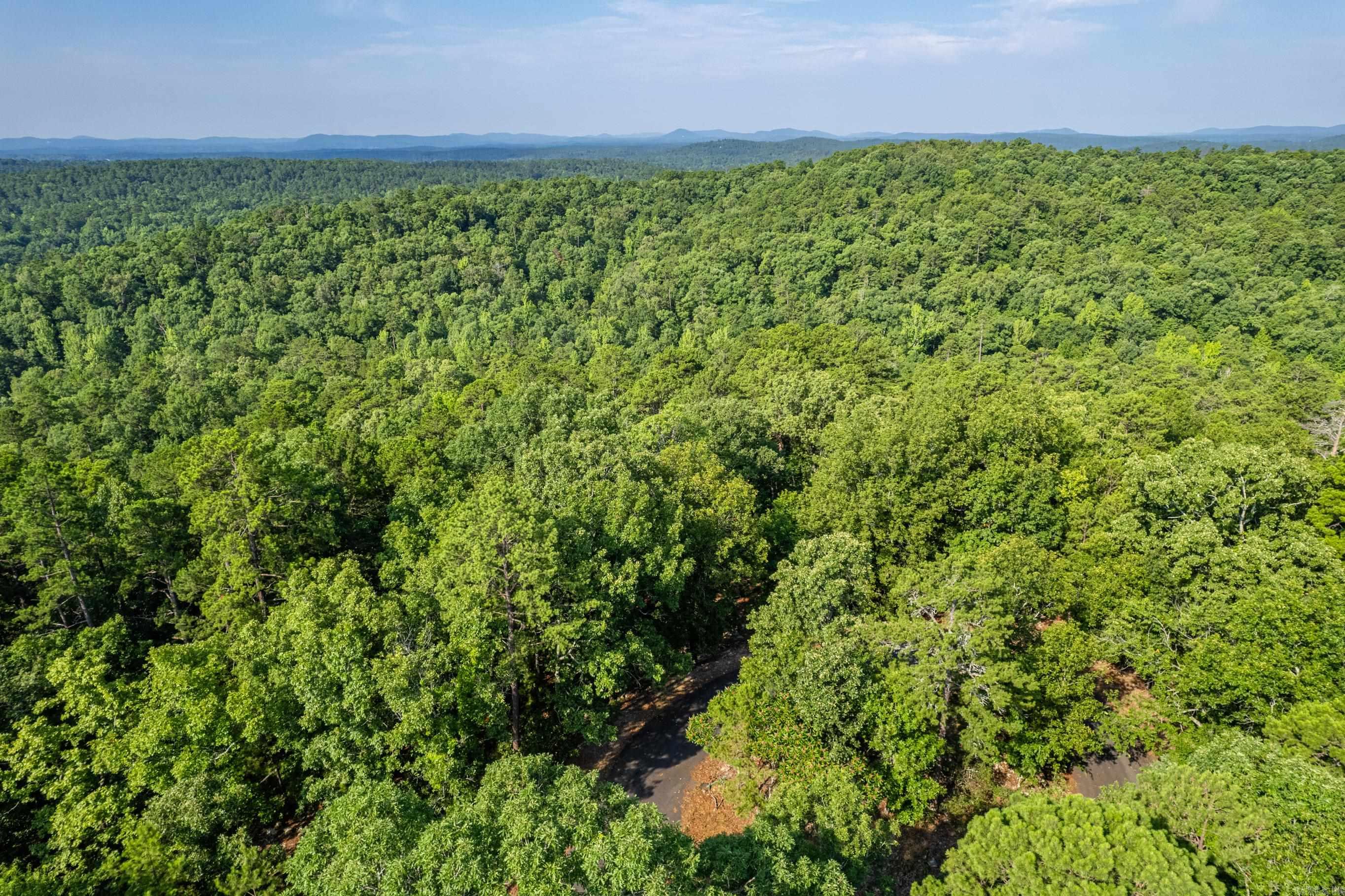 11 Pertusa  Hot Springs Village, AR