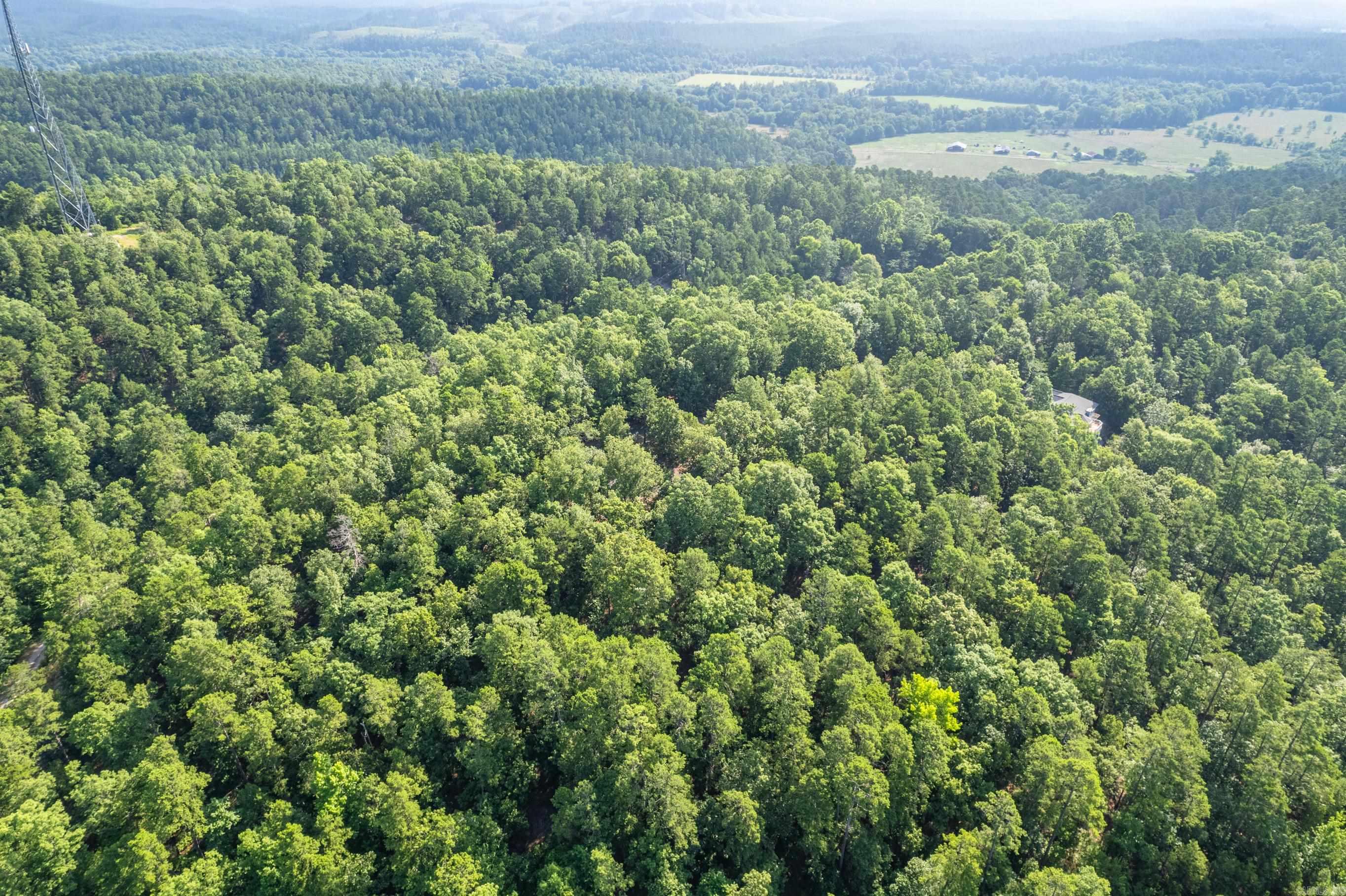 11 Pertusa  Hot Springs Village, AR