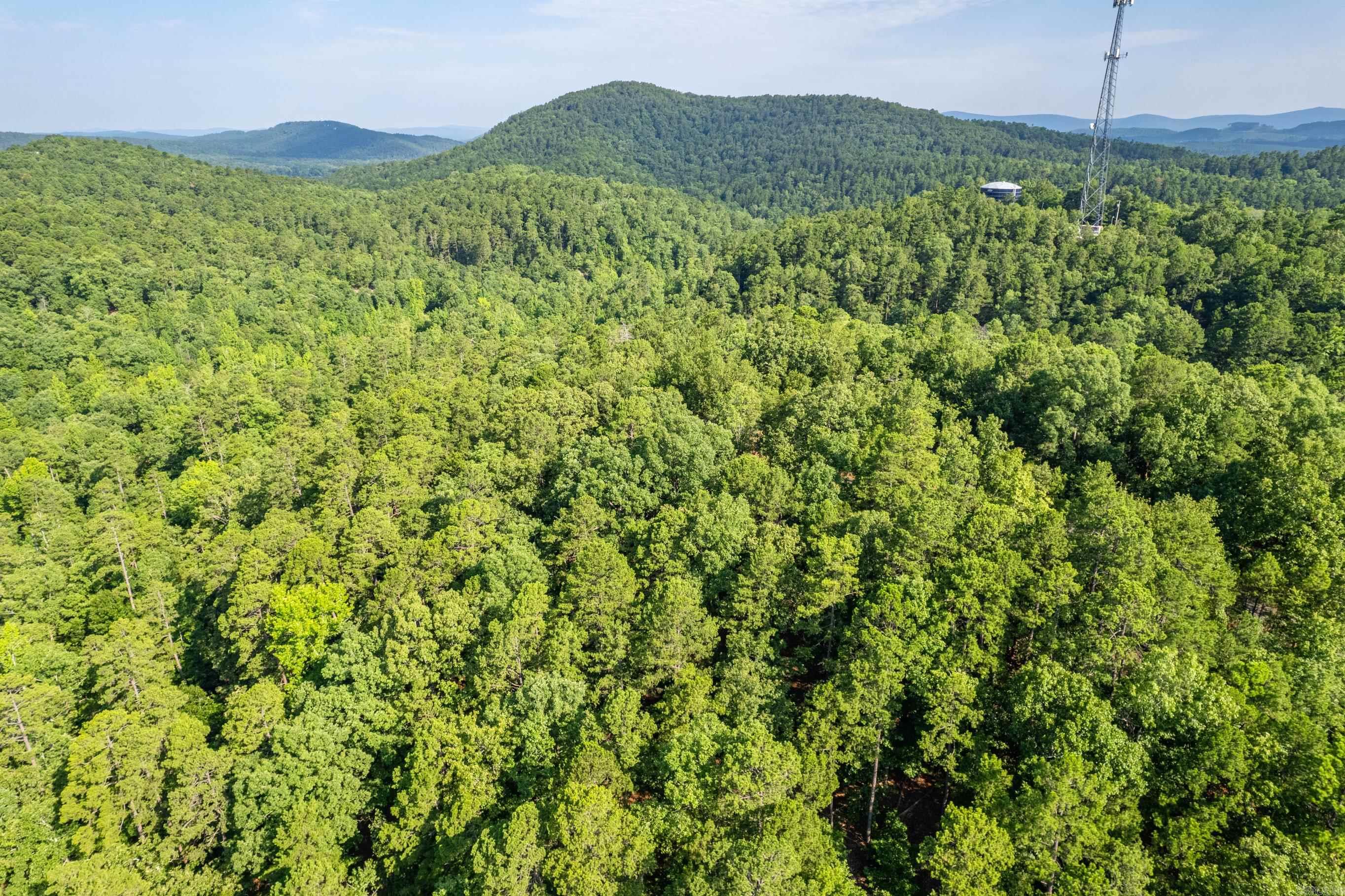 11 Pertusa  Hot Springs Village, AR