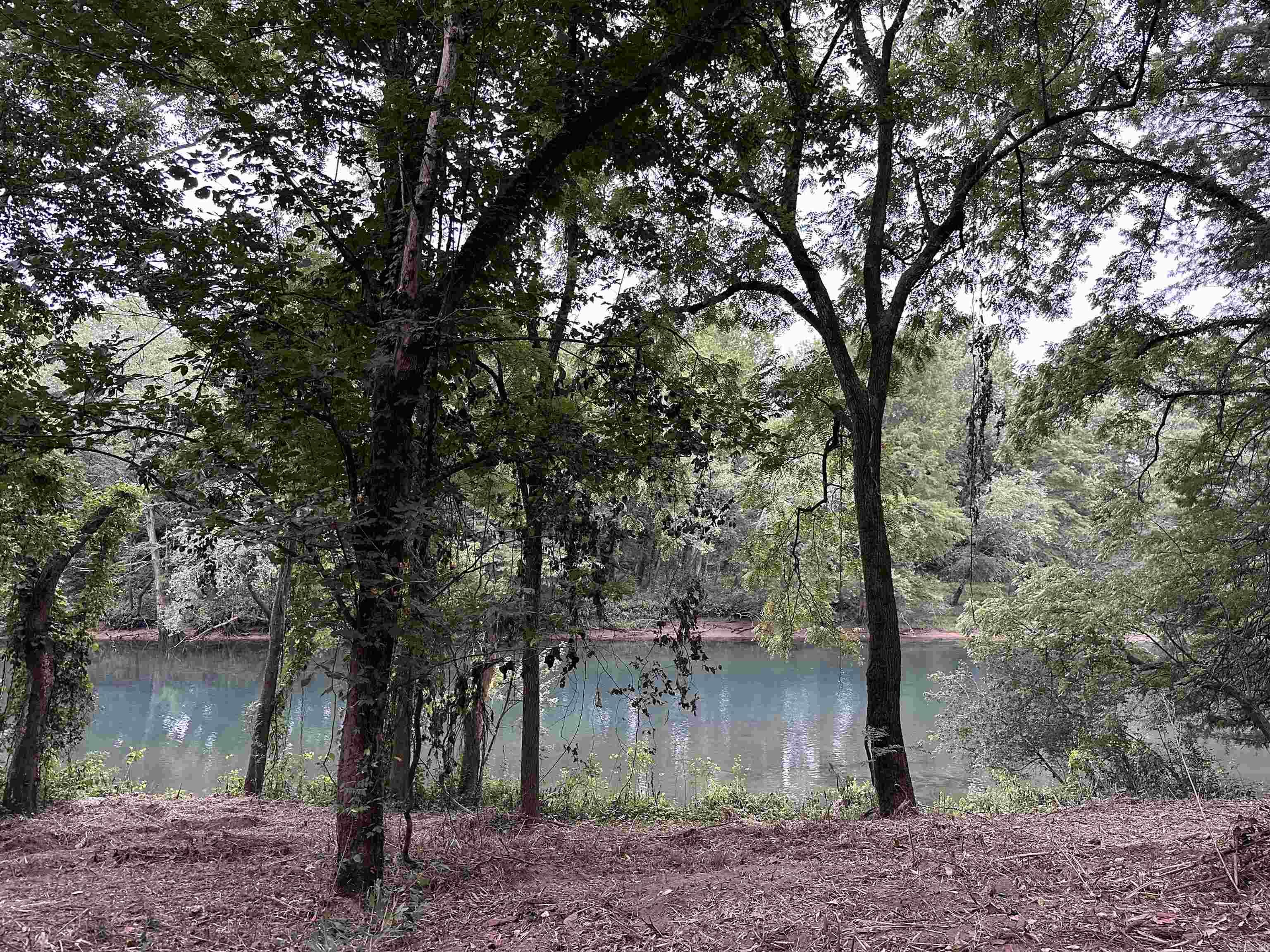 000 Old River Rd.  Pangburn, AR