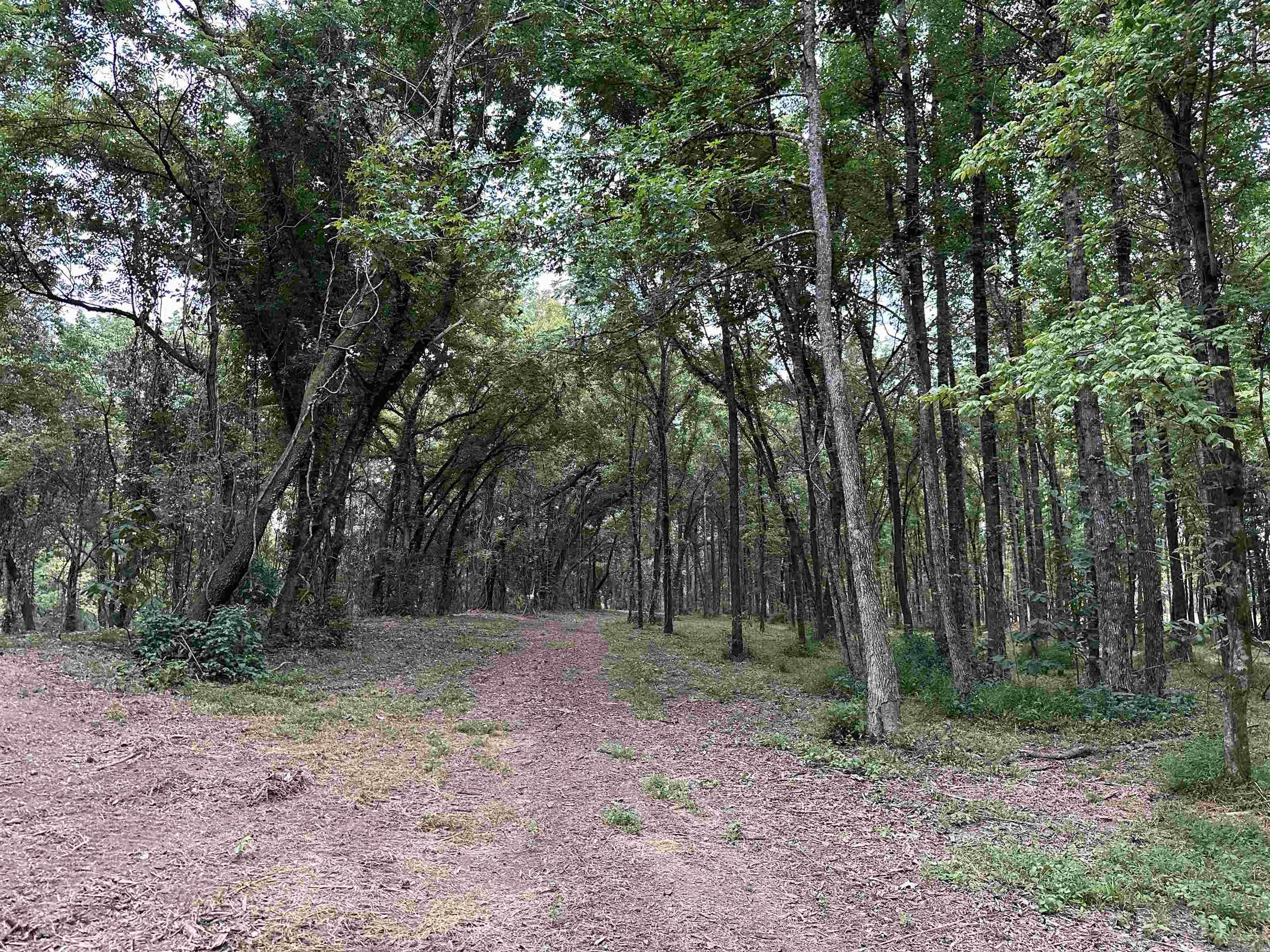 000 Old River Rd.  Pangburn, AR