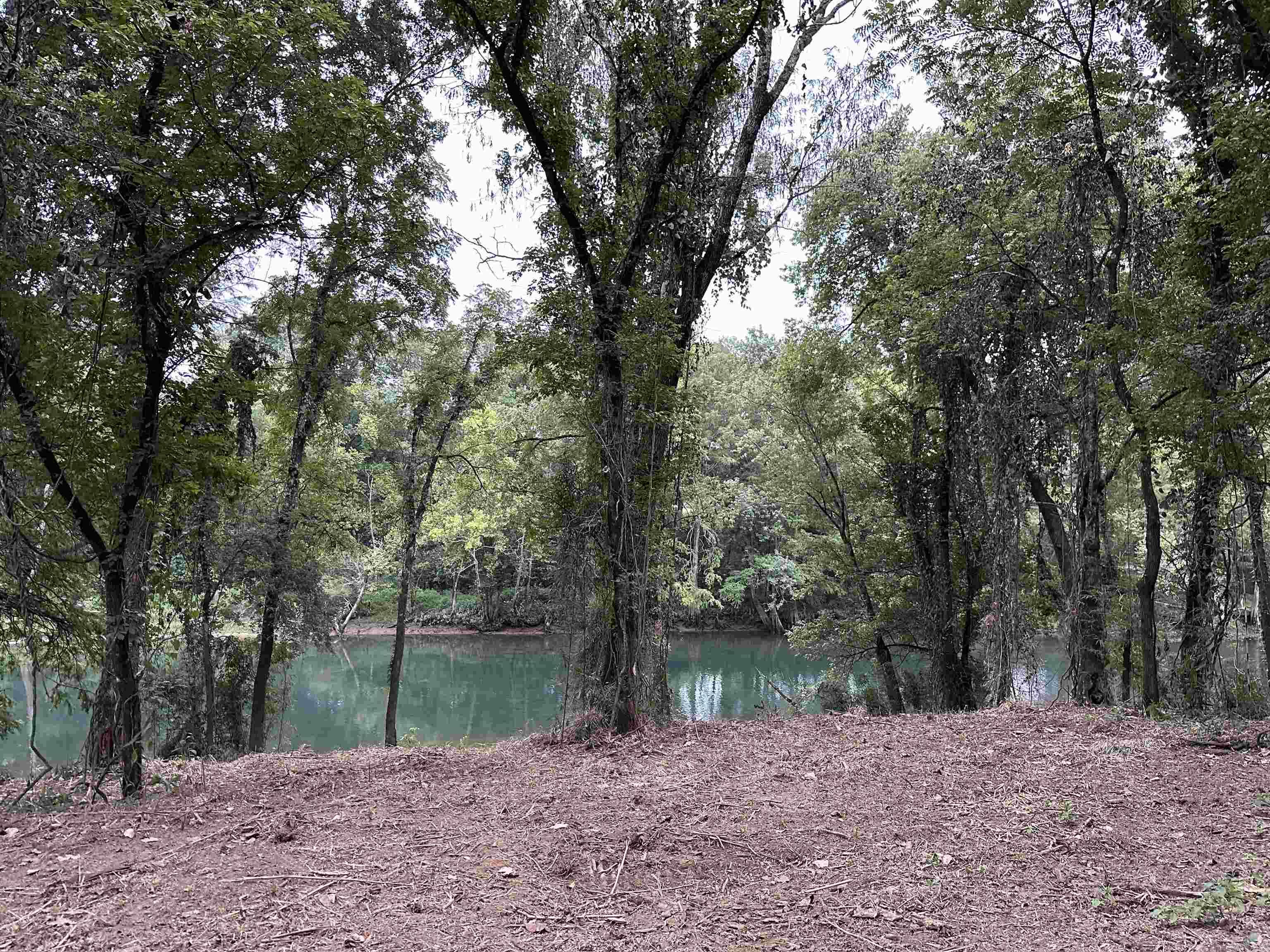 000 Old River Rd.  Pangburn, AR