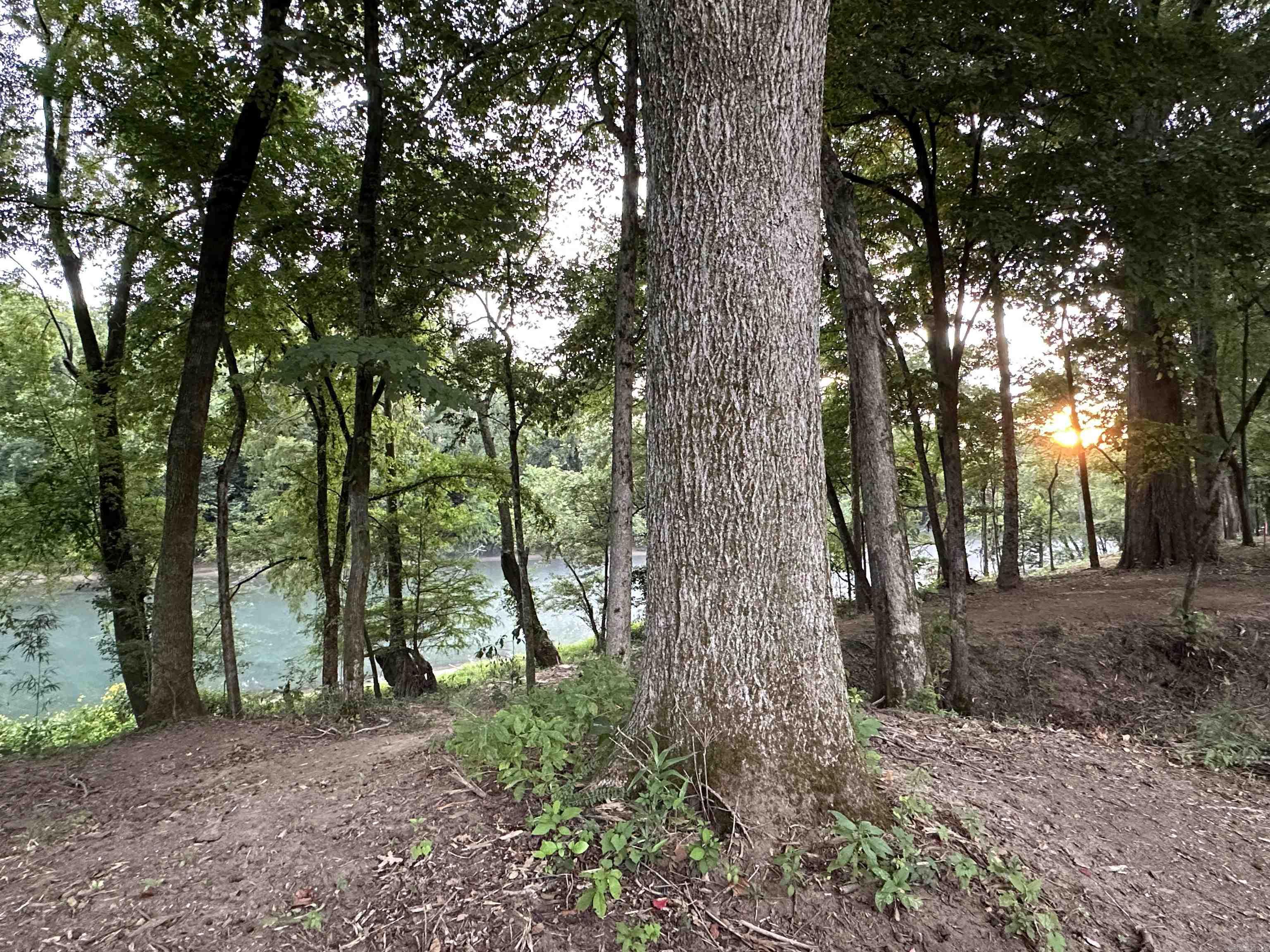 000 Old River Rd.  Pangburn, AR