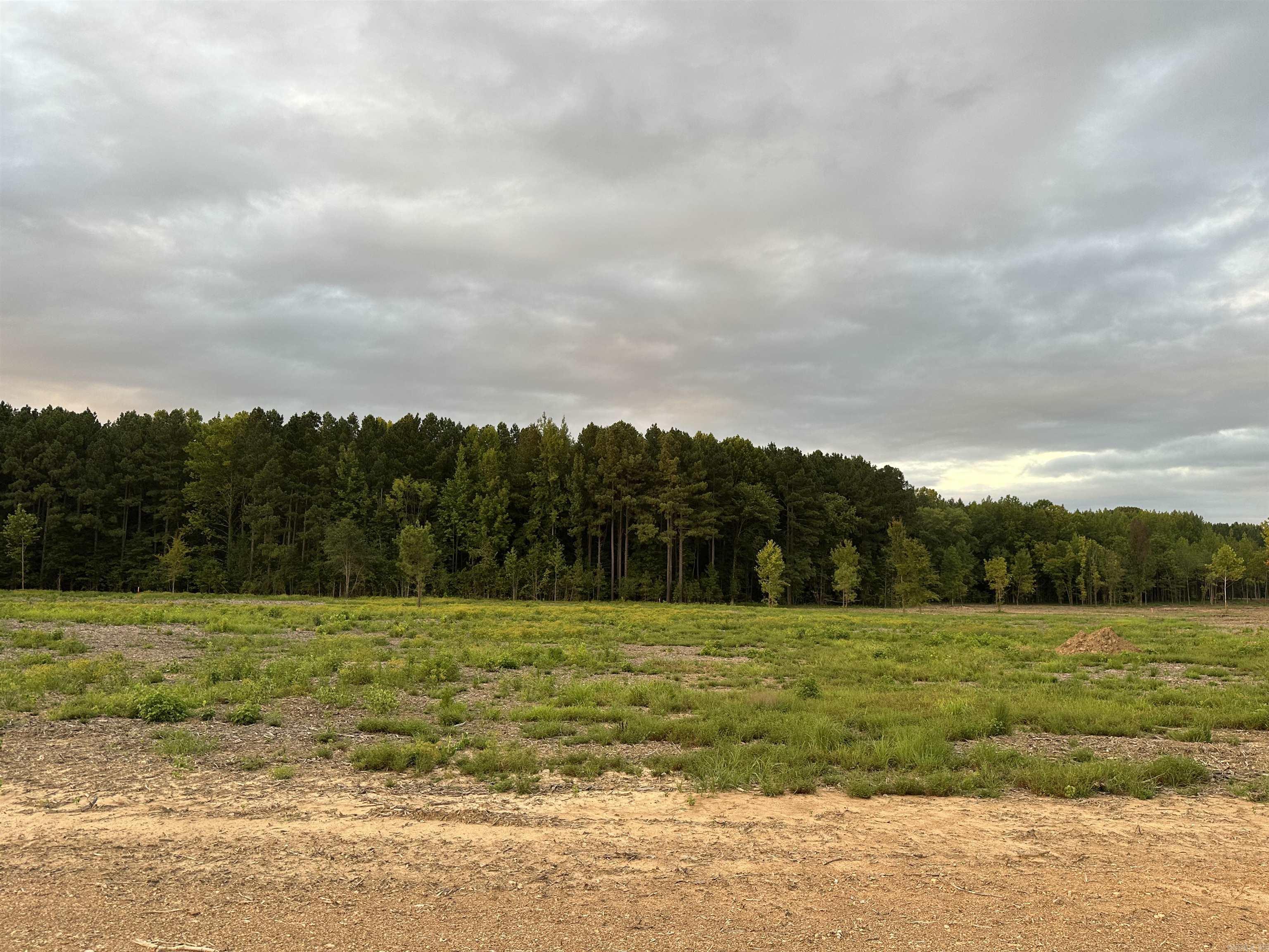 000 Old River Rd.  Pangburn, AR