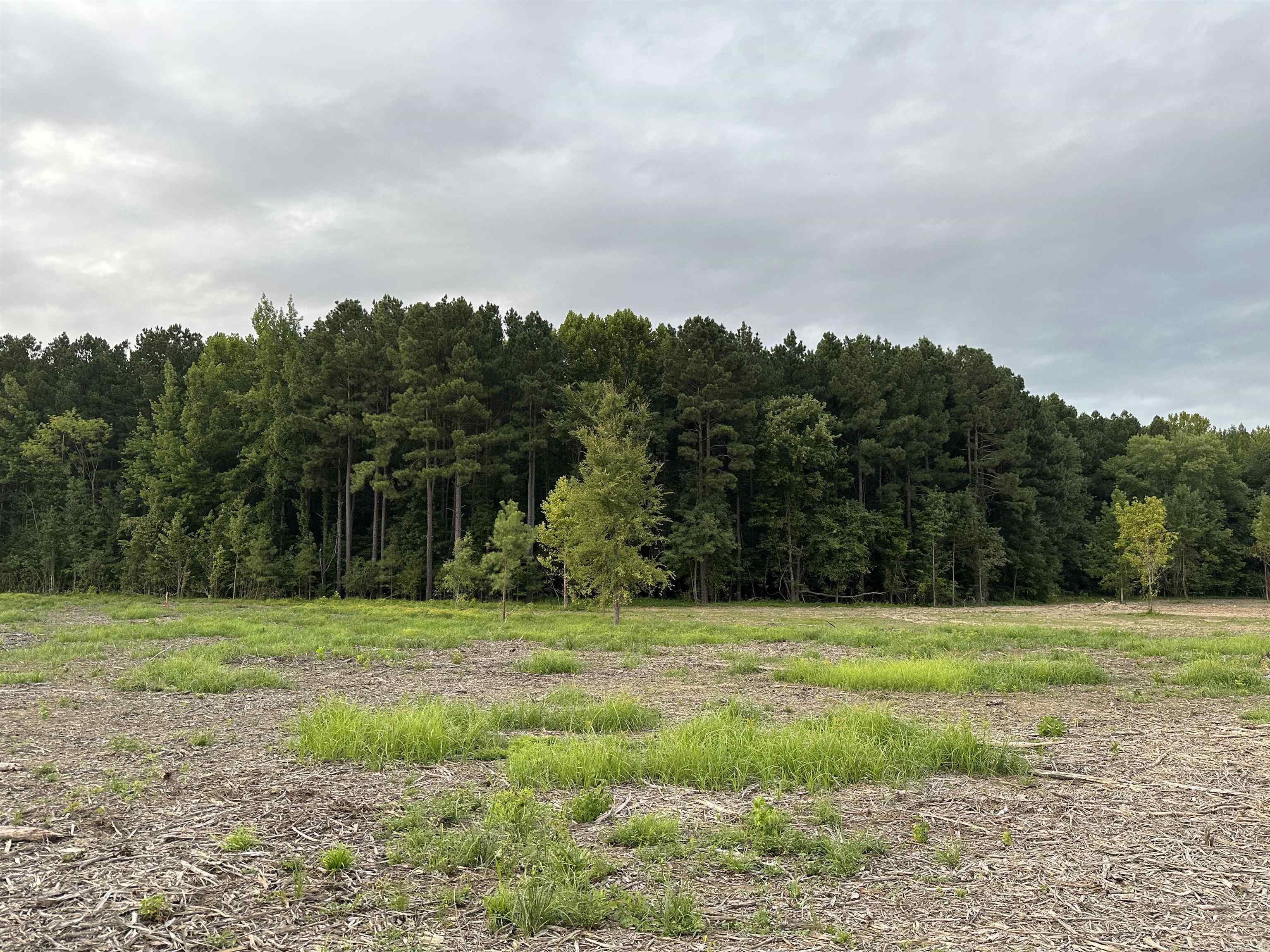 000 Old River Rd.  Pangburn, AR