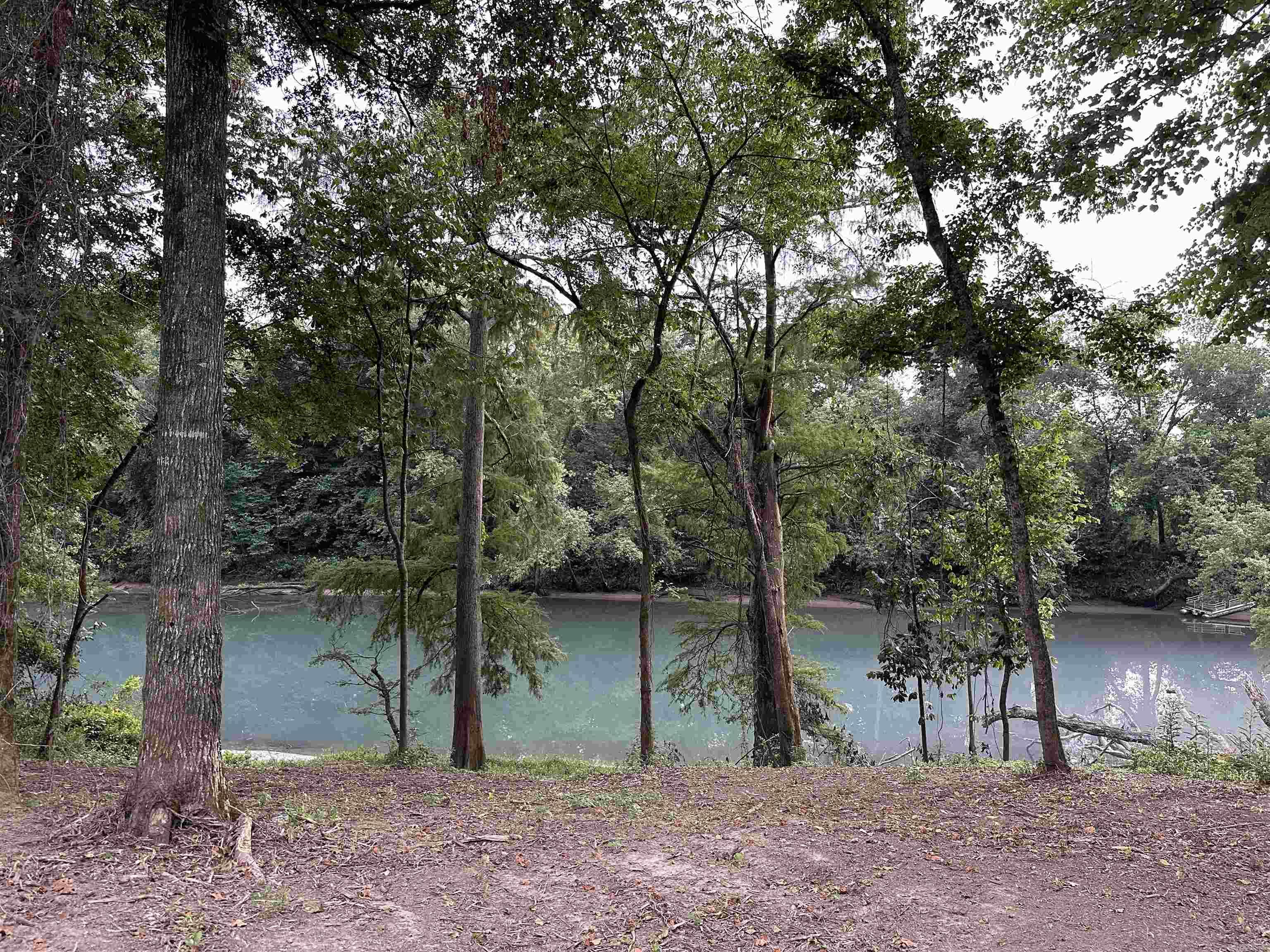000 Old River Rd.  Pangburn, AR