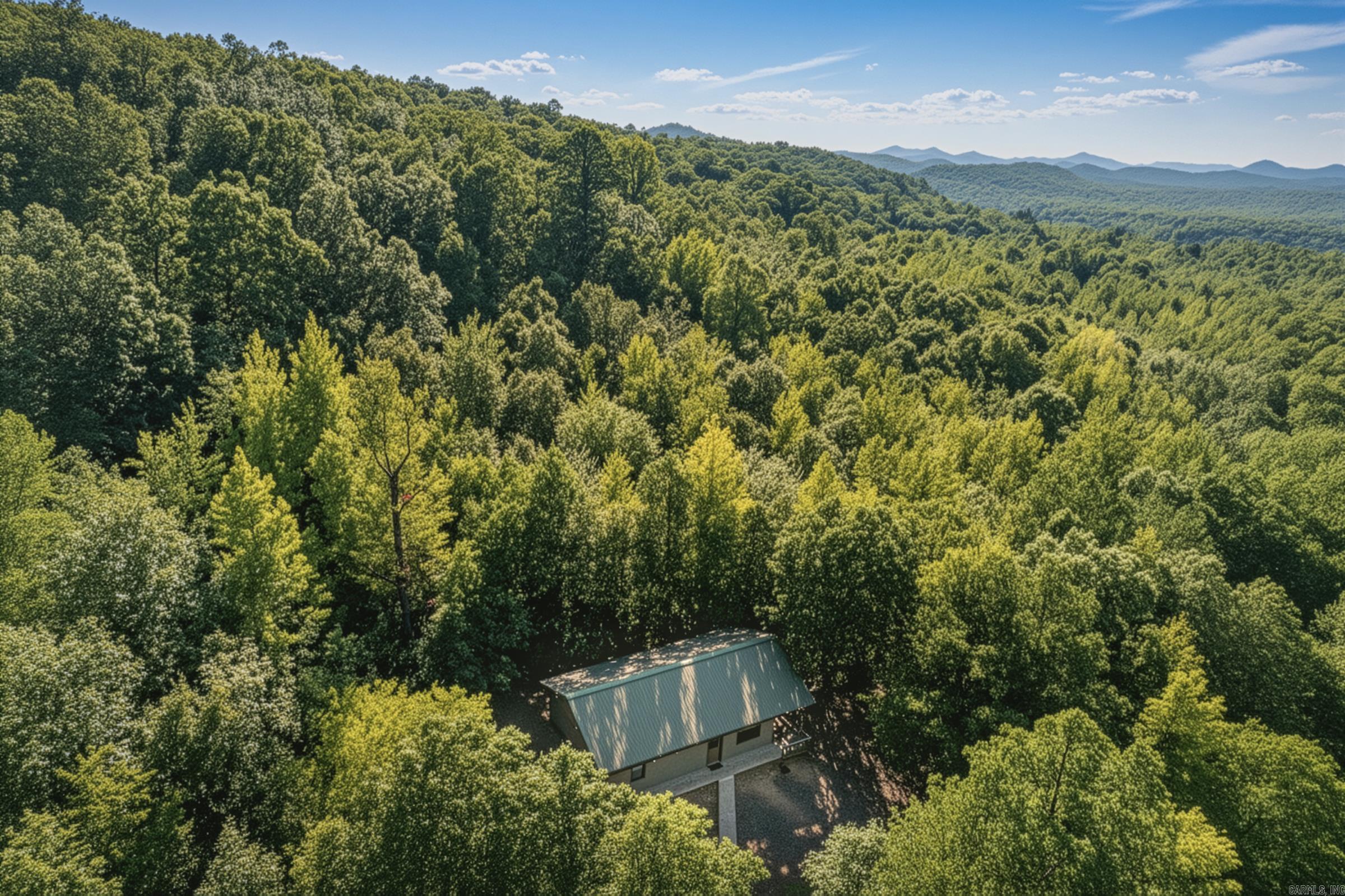 TBD Roadrunner lane Mena, AR 71953