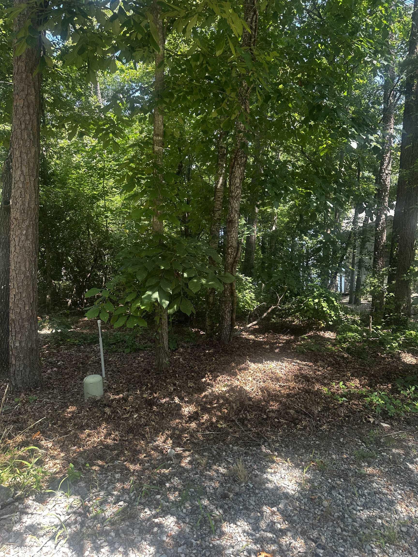 2 Otero  Hot Springs Village, AR