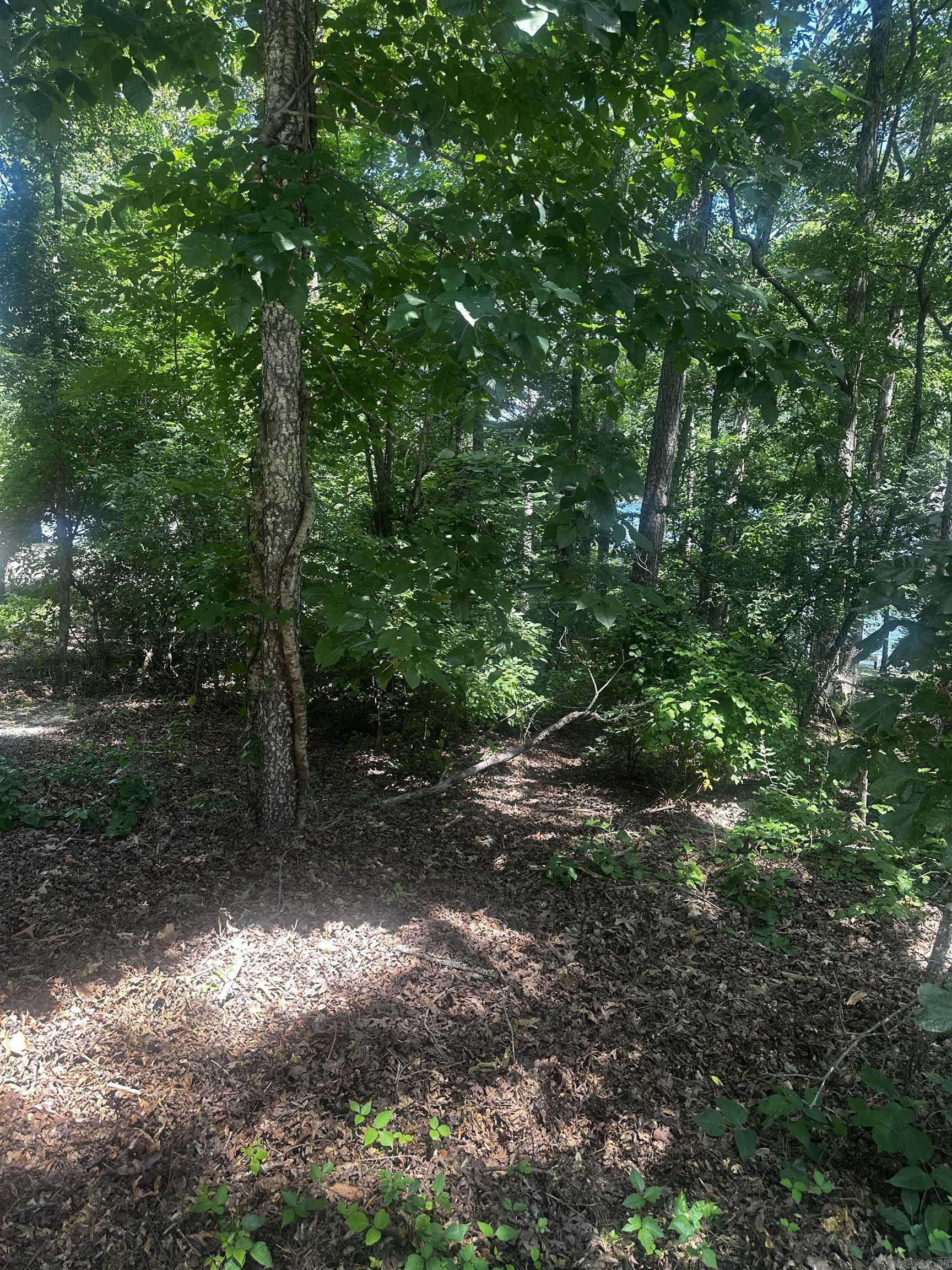 2 Otero  Hot Springs Village, AR