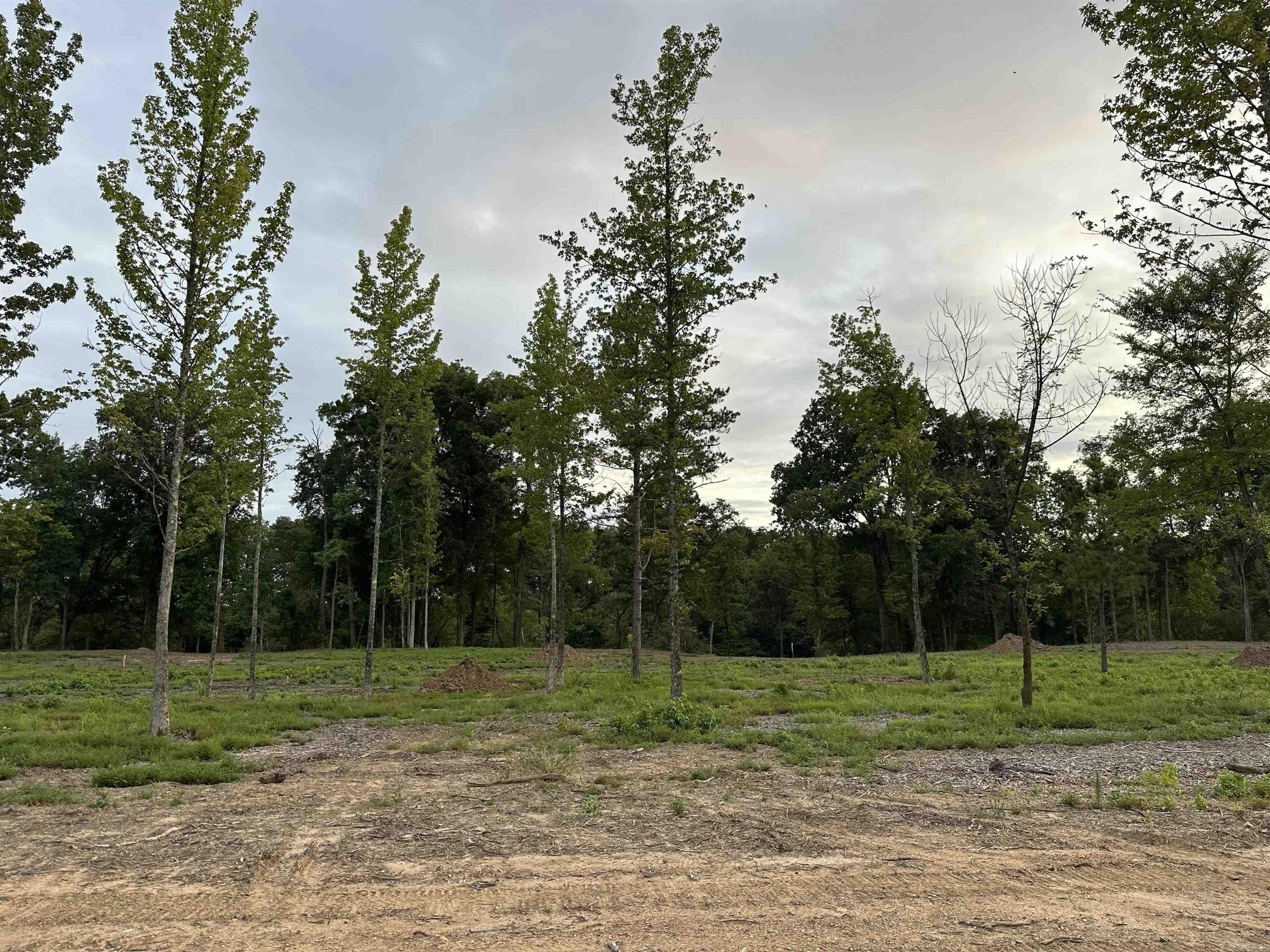 000 Old River Rd.  Pangburn, AR