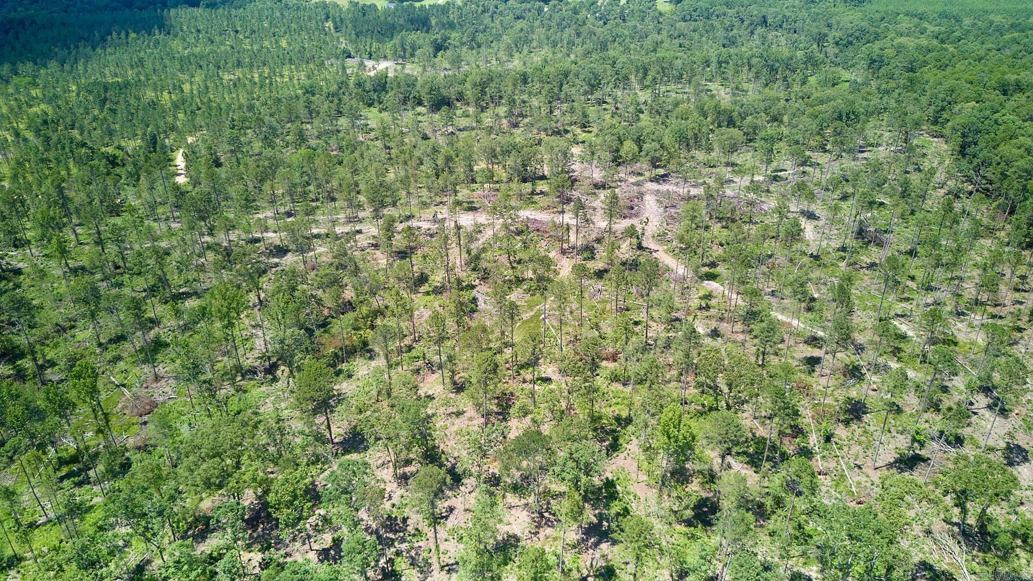 0 Rainbow Road  Bismarck, AR