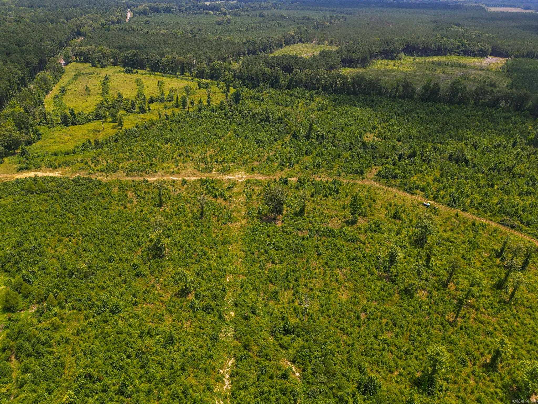  Old Warren  Monticello, AR