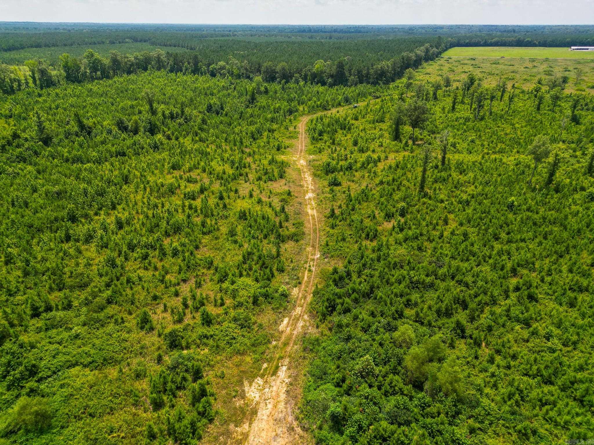  Old Warren  Monticello, AR